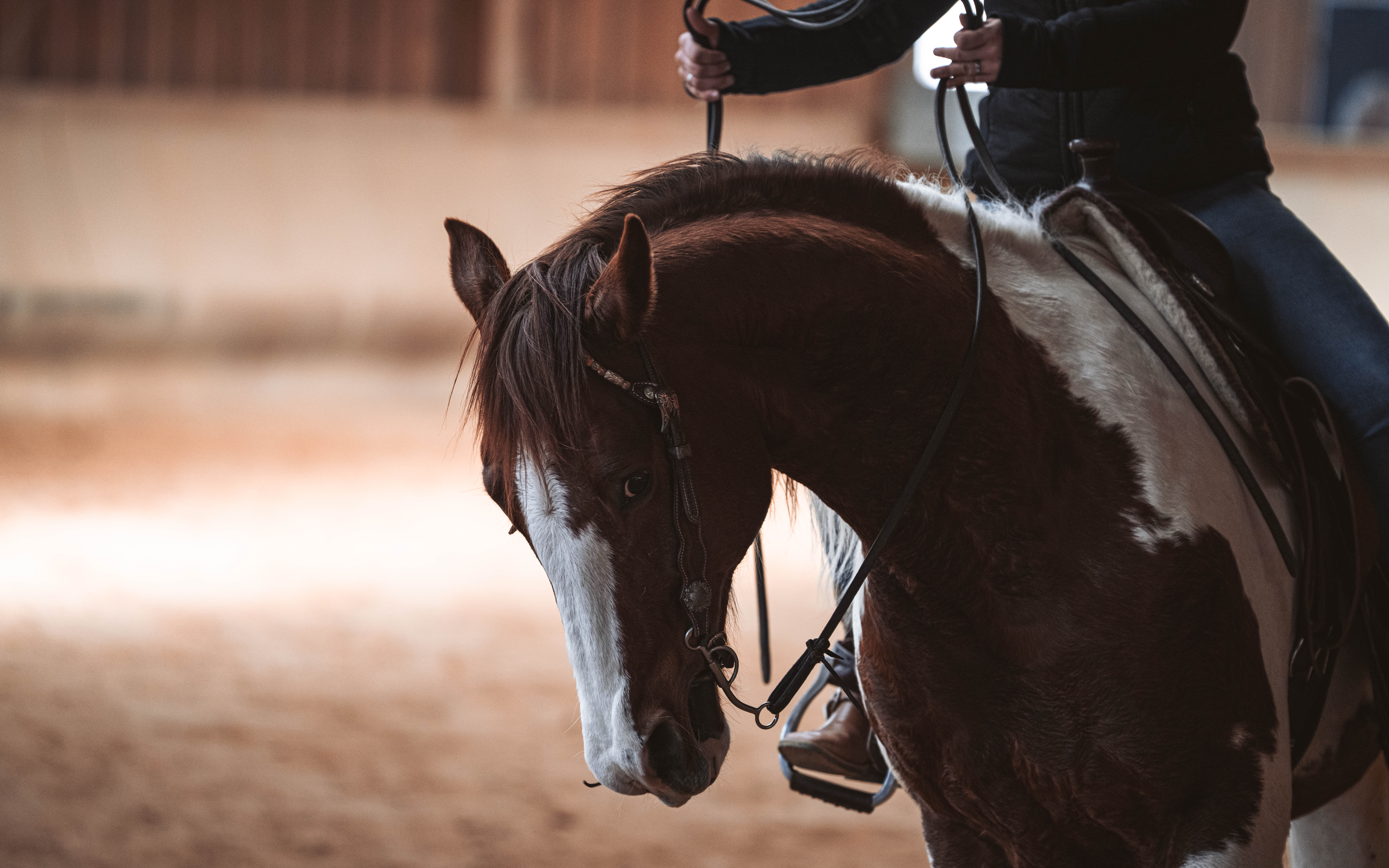 20260322_Silver_Rock_Ranch_Kurs_Tom_Christ_353