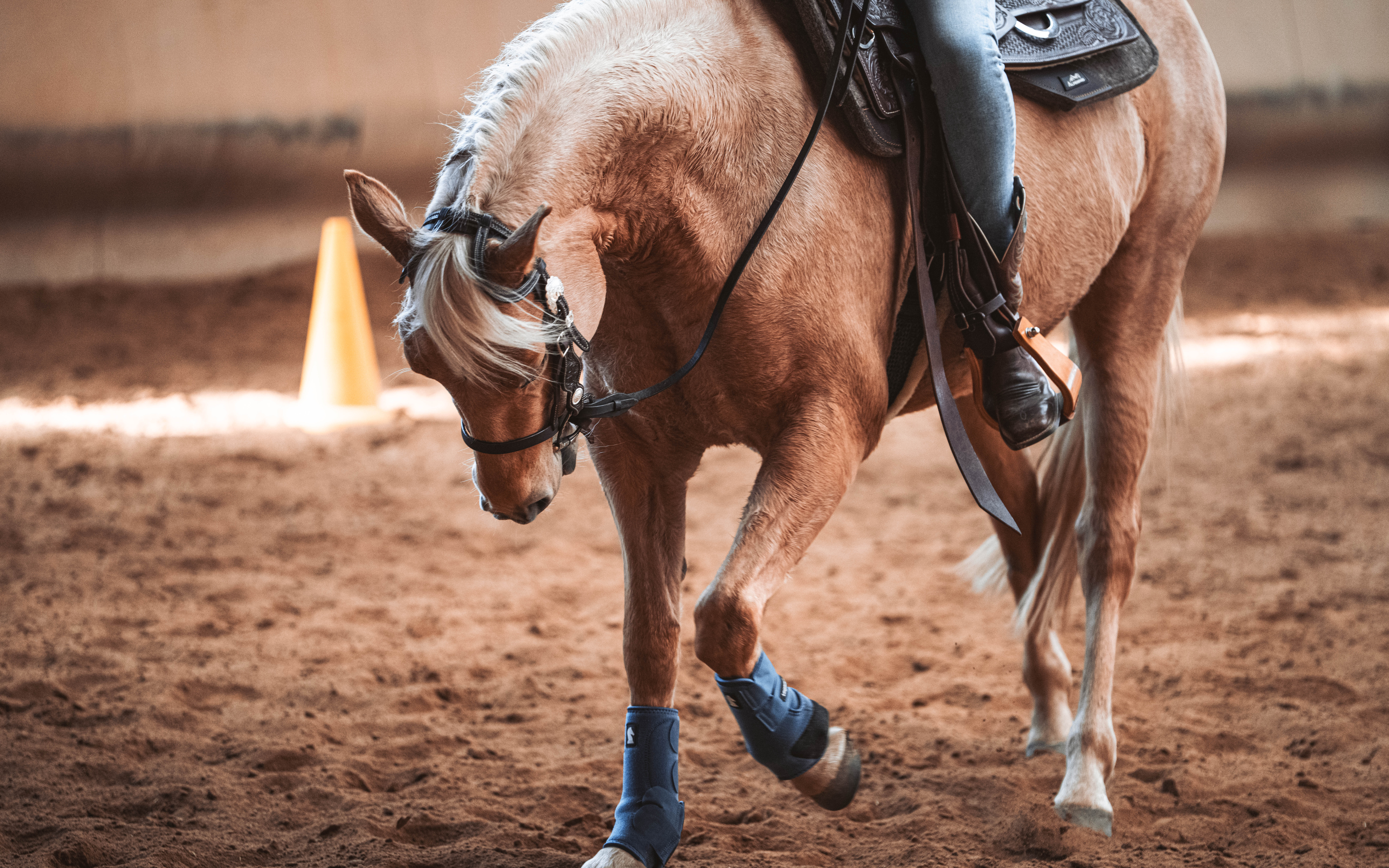 20260322_Silver_Rock_Ranch_Kurs_Tom_Christ_359