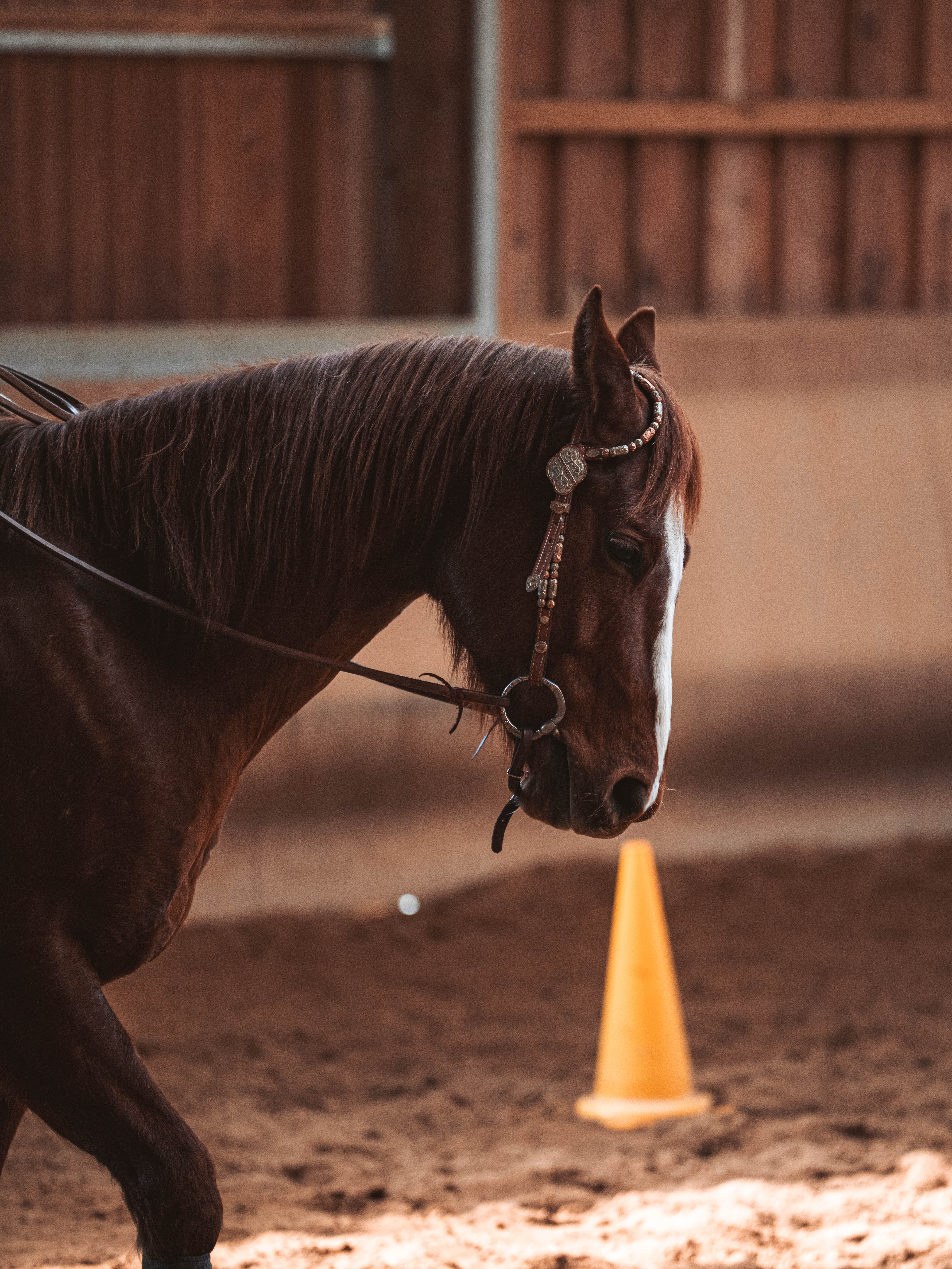 20260322_Silver_Rock_Ranch_Kurs_Tom_Christ_365