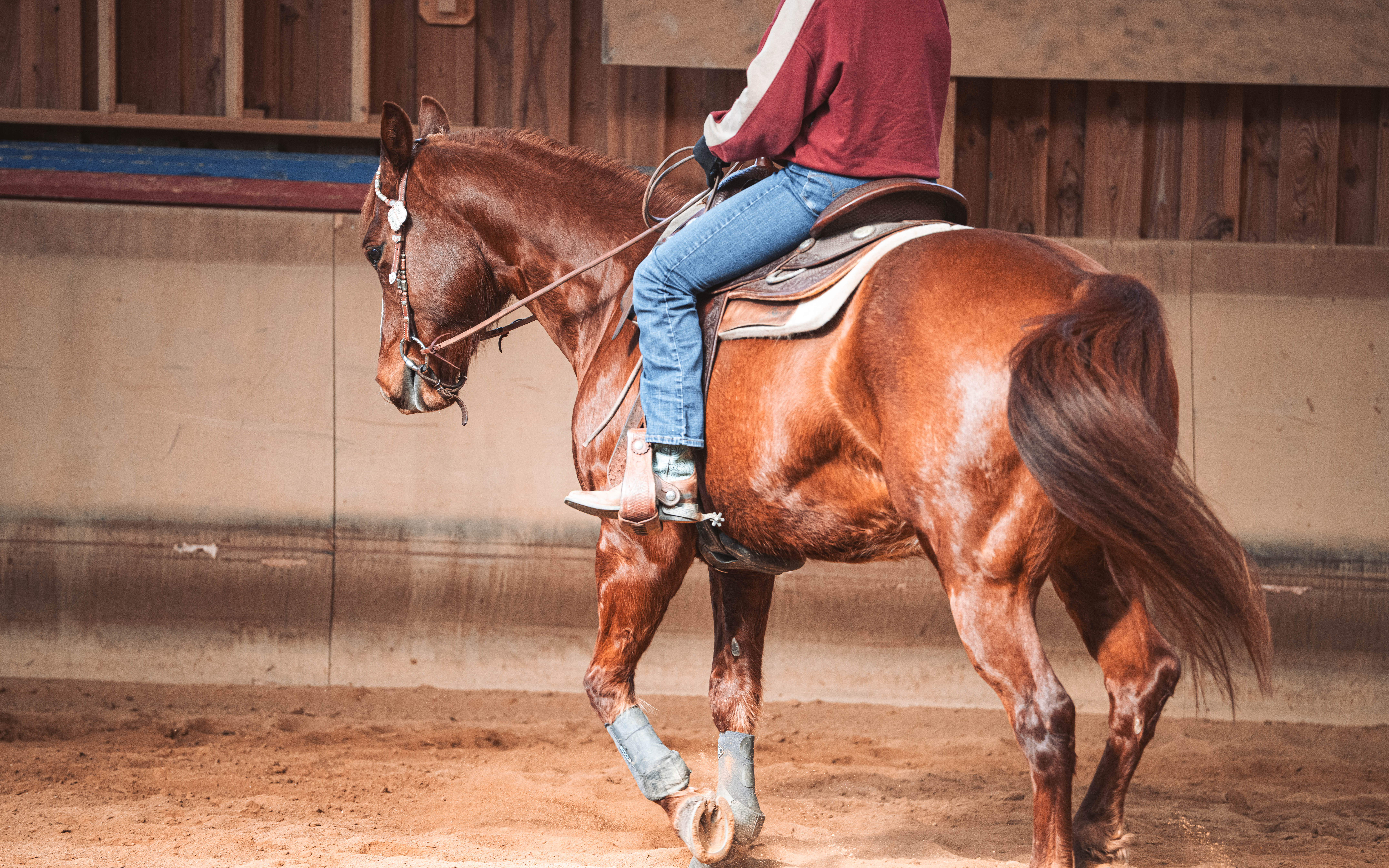 20260322_Silver_Rock_Ranch_Kurs_Tom_Christ_367