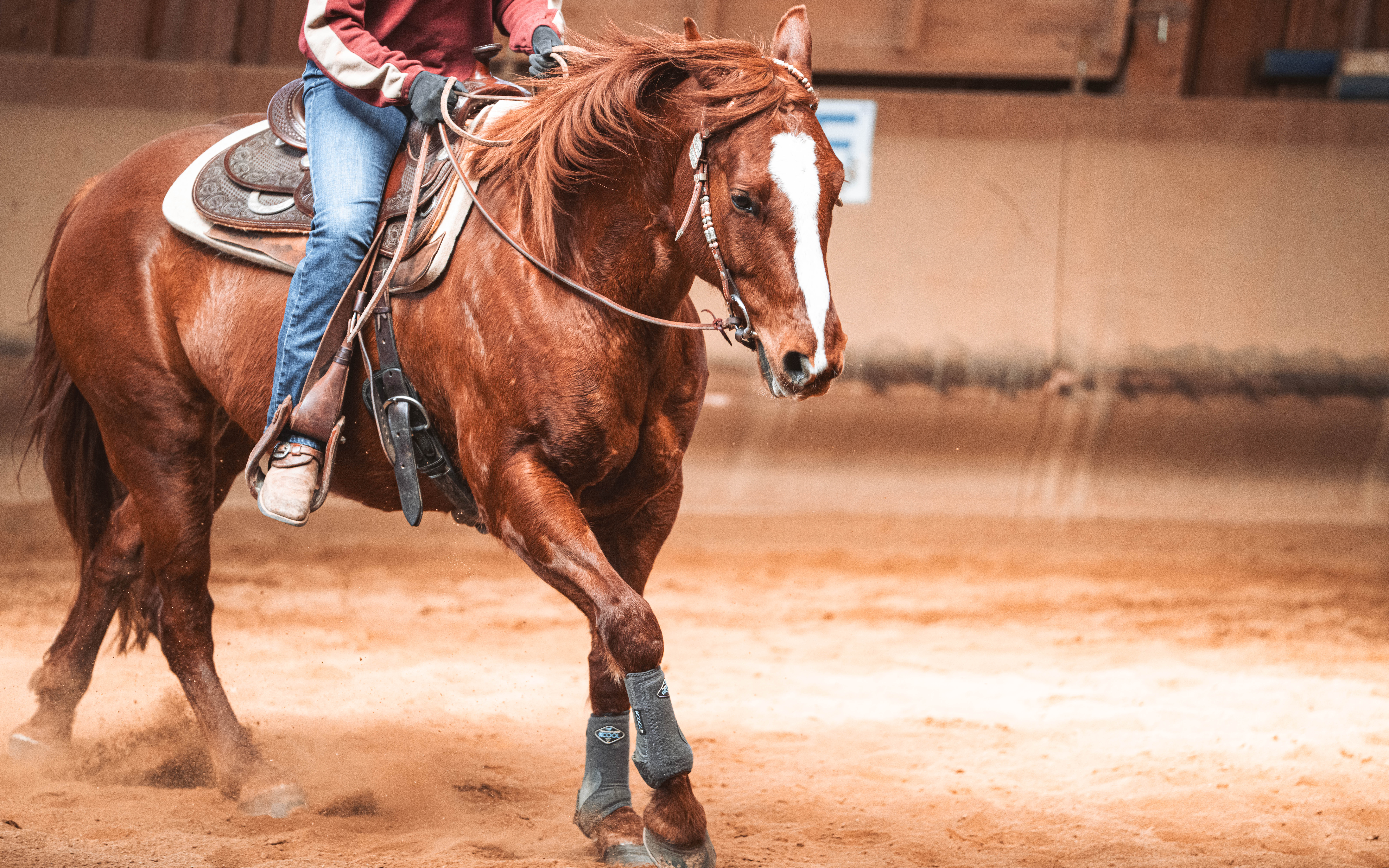 20260322_Silver_Rock_Ranch_Kurs_Tom_Christ_376