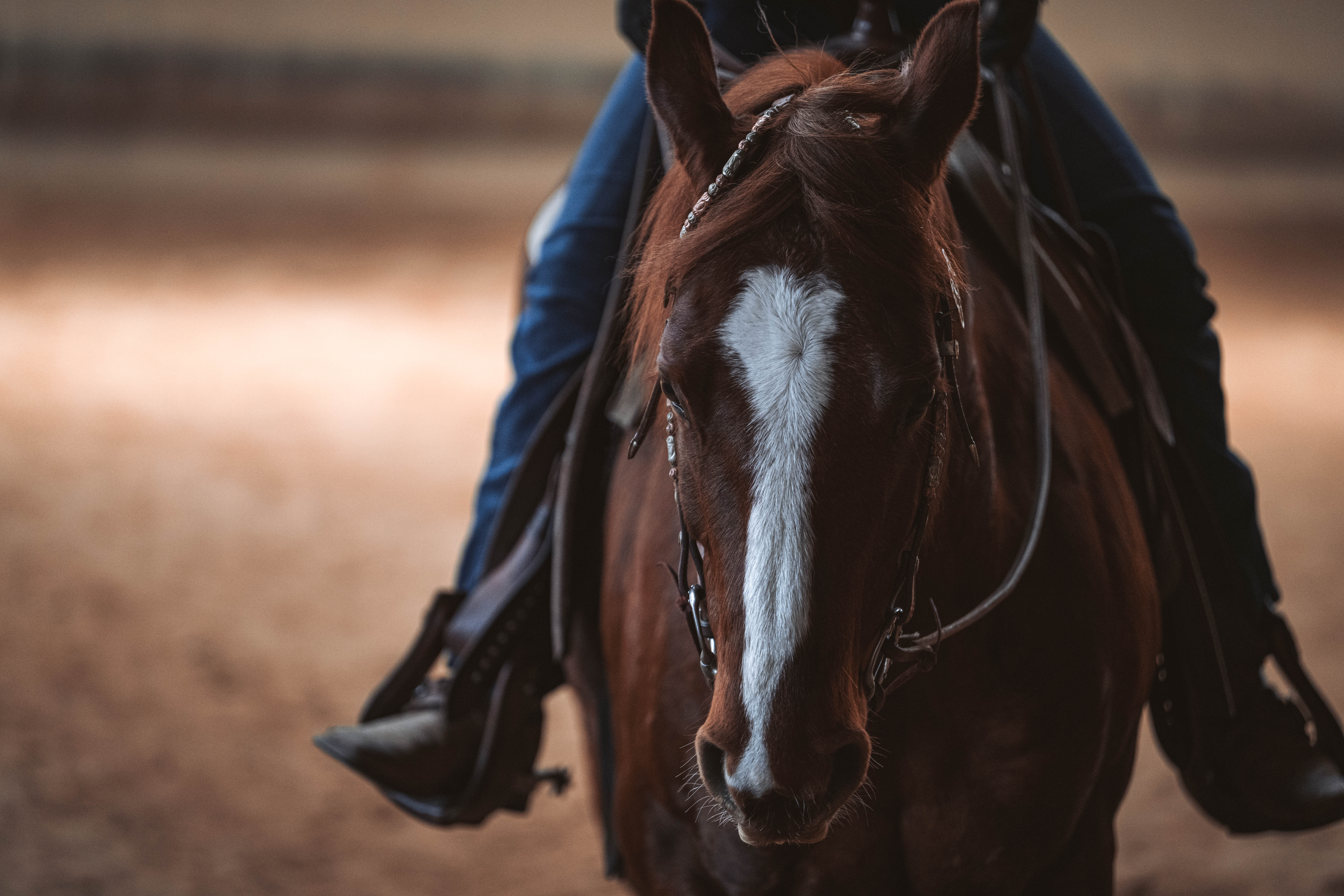 20260322_Silver_Rock_Ranch_Kurs_Tom_Christ_378