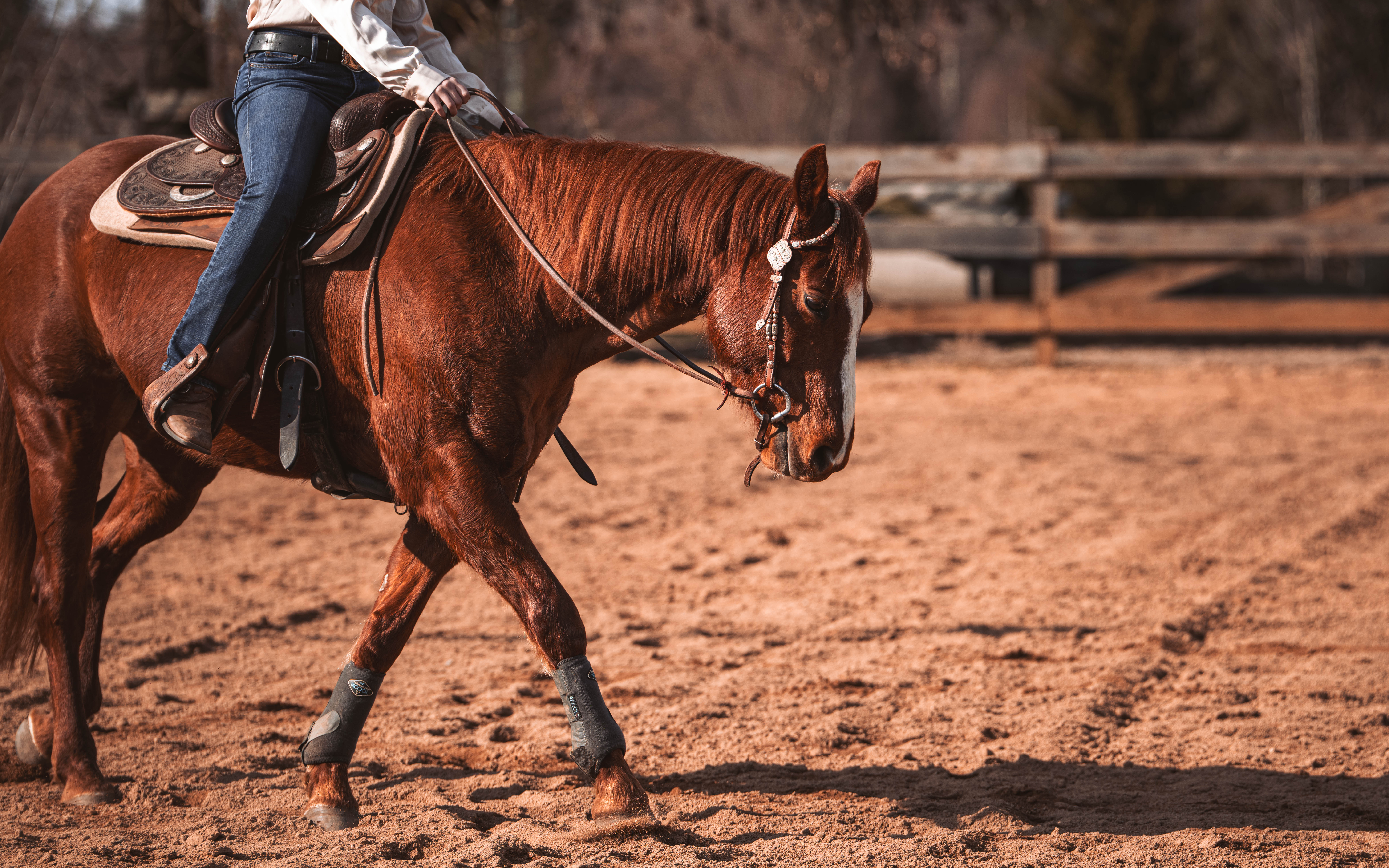 20260322_Silver_Rock_Ranch_Kurs_Tom_Christ_389