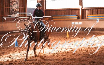 20260322_Silver_Rock_Ranch_Kurs_Tom_Christ_420 Product