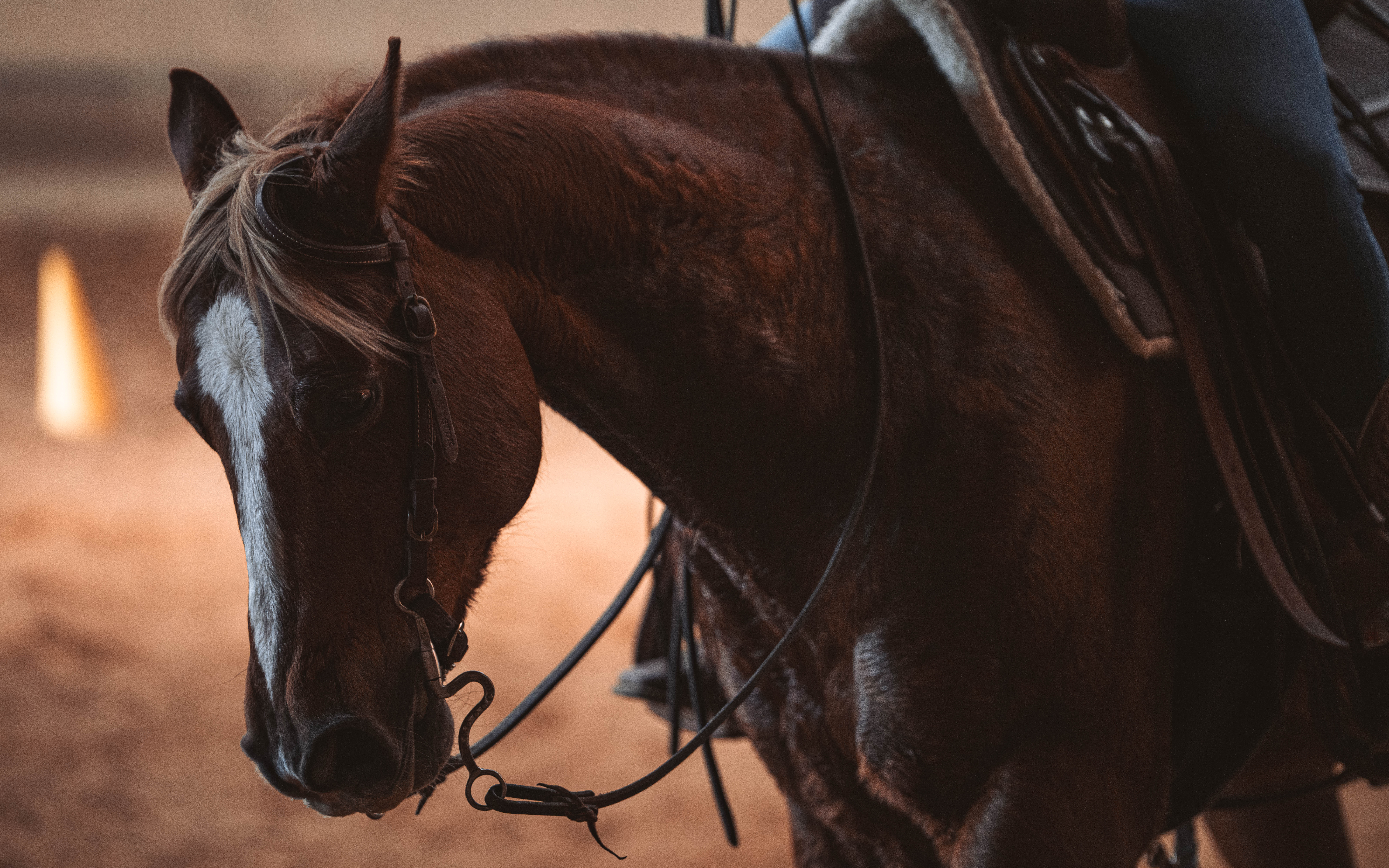 20260322_Silver_Rock_Ranch_Kurs_Tom_Christ_427