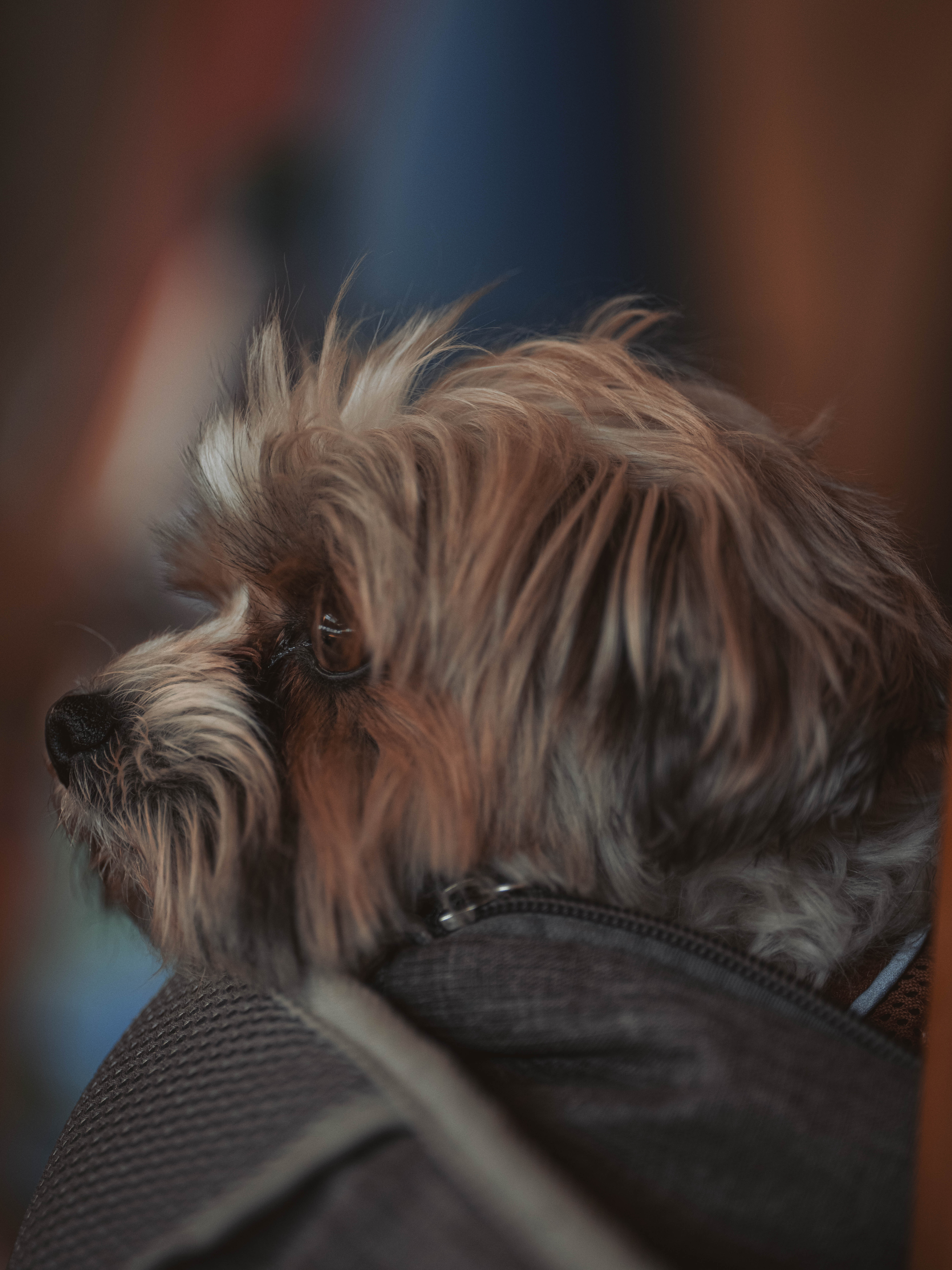 20260322_Silver_Rock_Ranch_Kurs_Tom_Christ_428