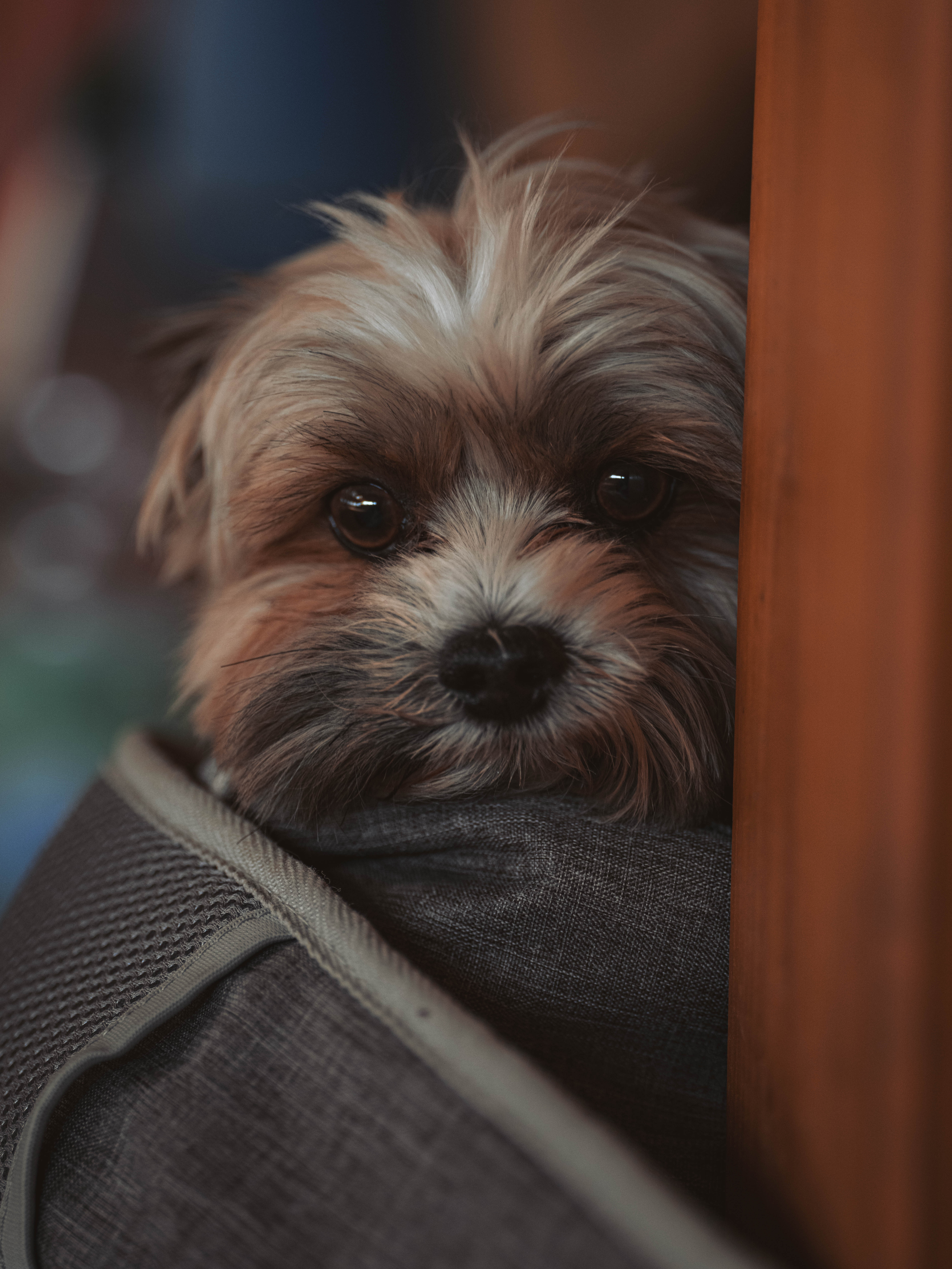 20260322_Silver_Rock_Ranch_Kurs_Tom_Christ_429