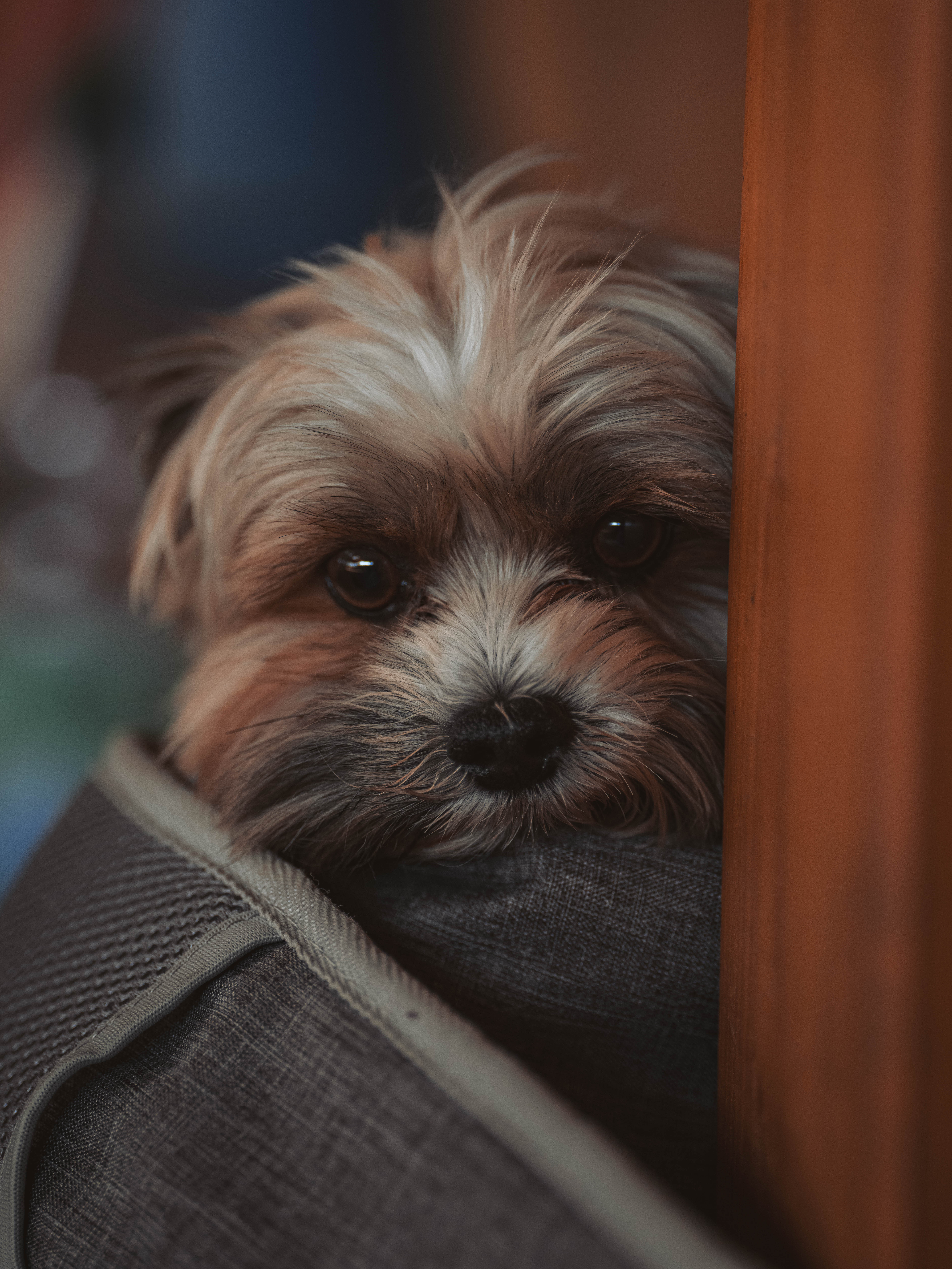 20260322_Silver_Rock_Ranch_Kurs_Tom_Christ_430