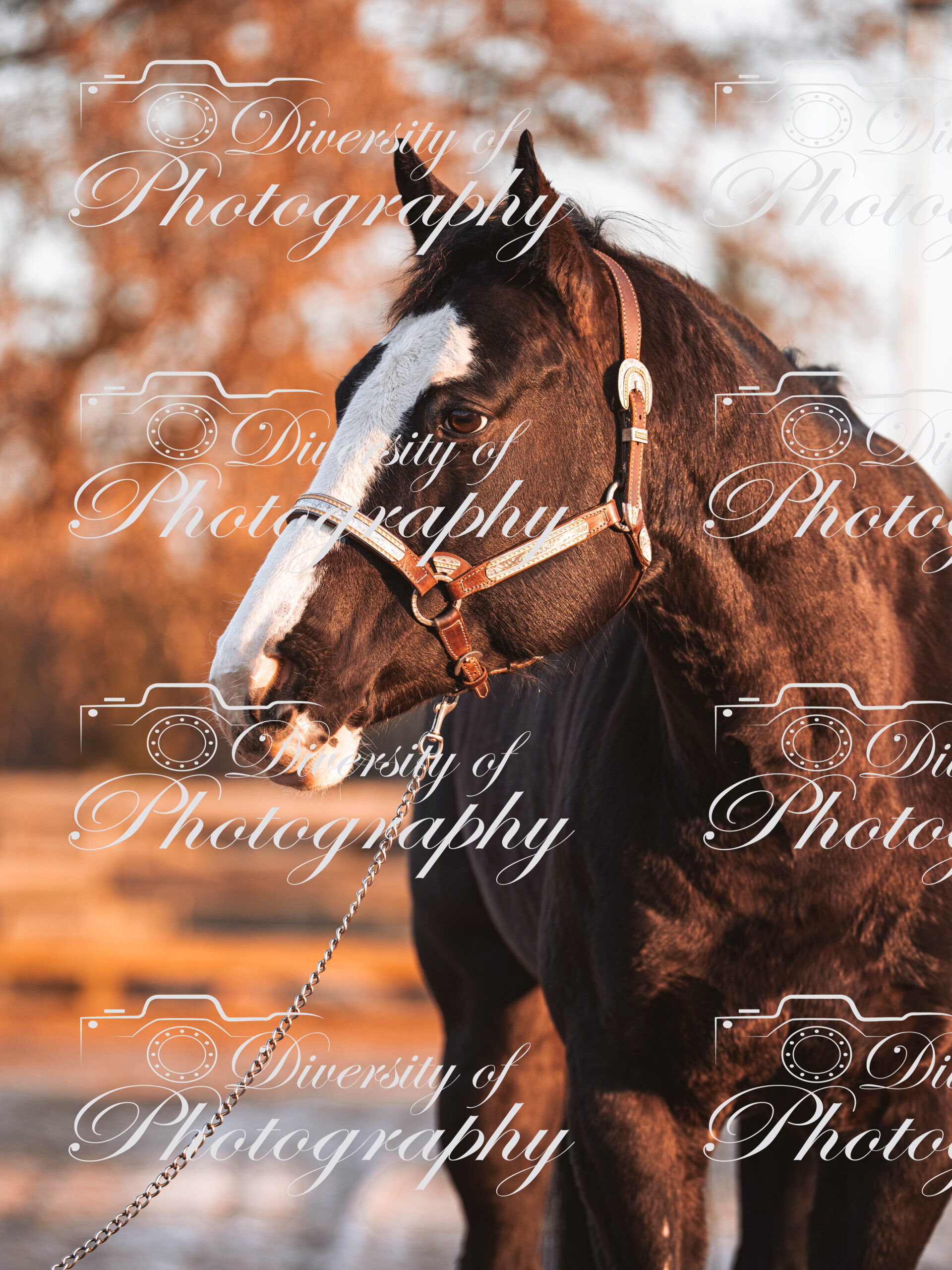 20260322_Silver_Rock_Ranch_Kurs_Tom_Christ_003