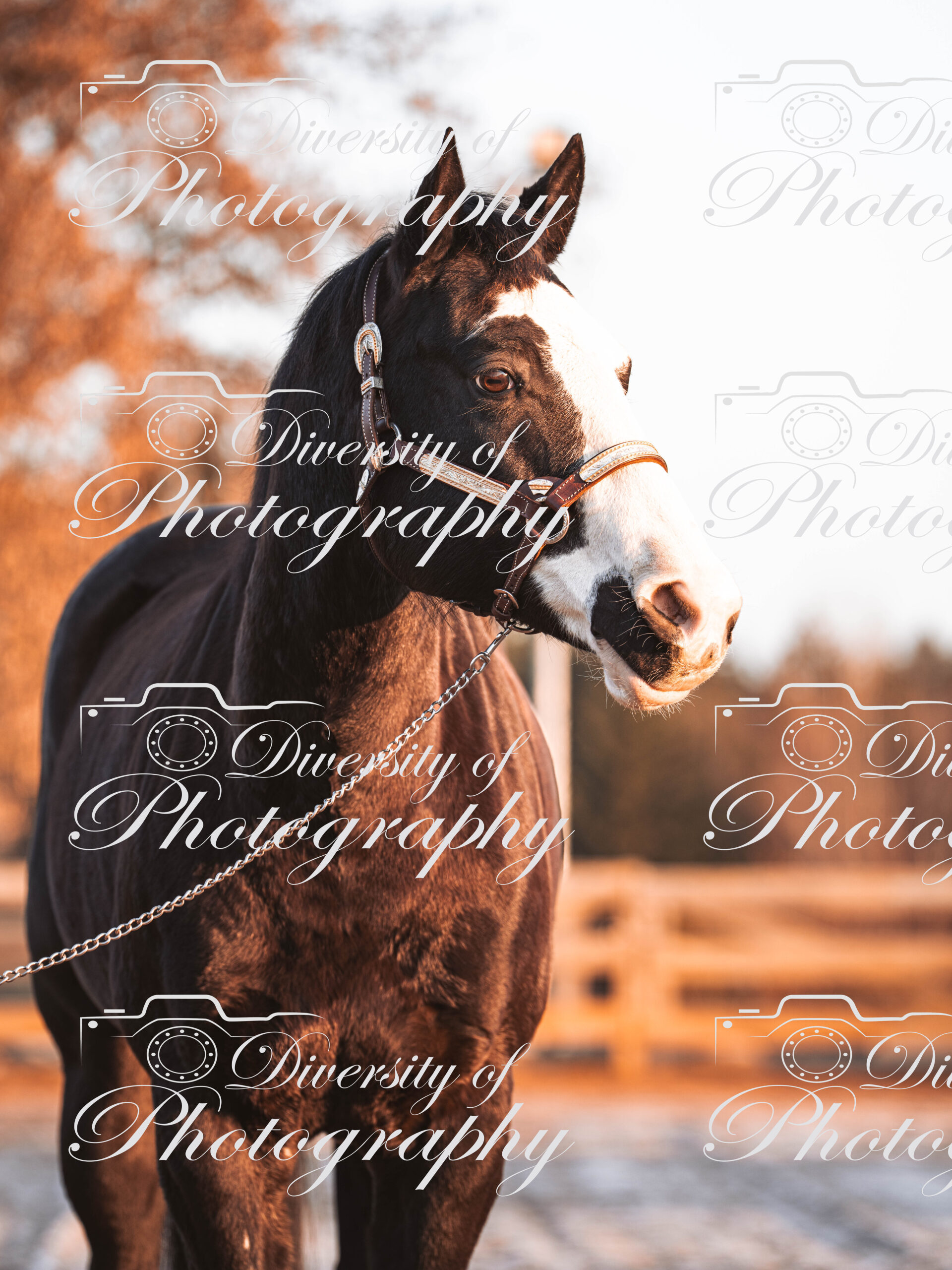 20260322_Silver_Rock_Ranch_Kurs_Tom_Christ_004