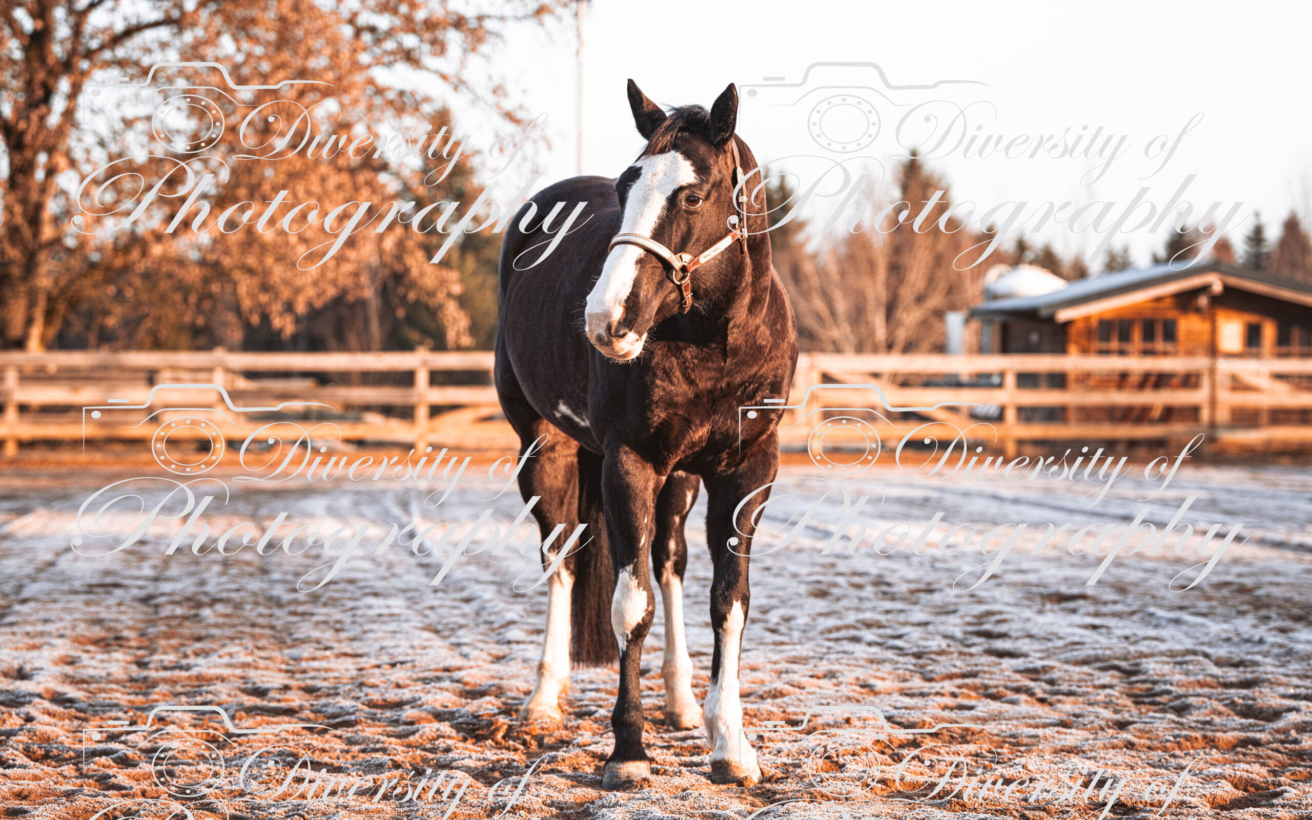 20260322_Silver_Rock_Ranch_Kurs_Tom_Christ_009