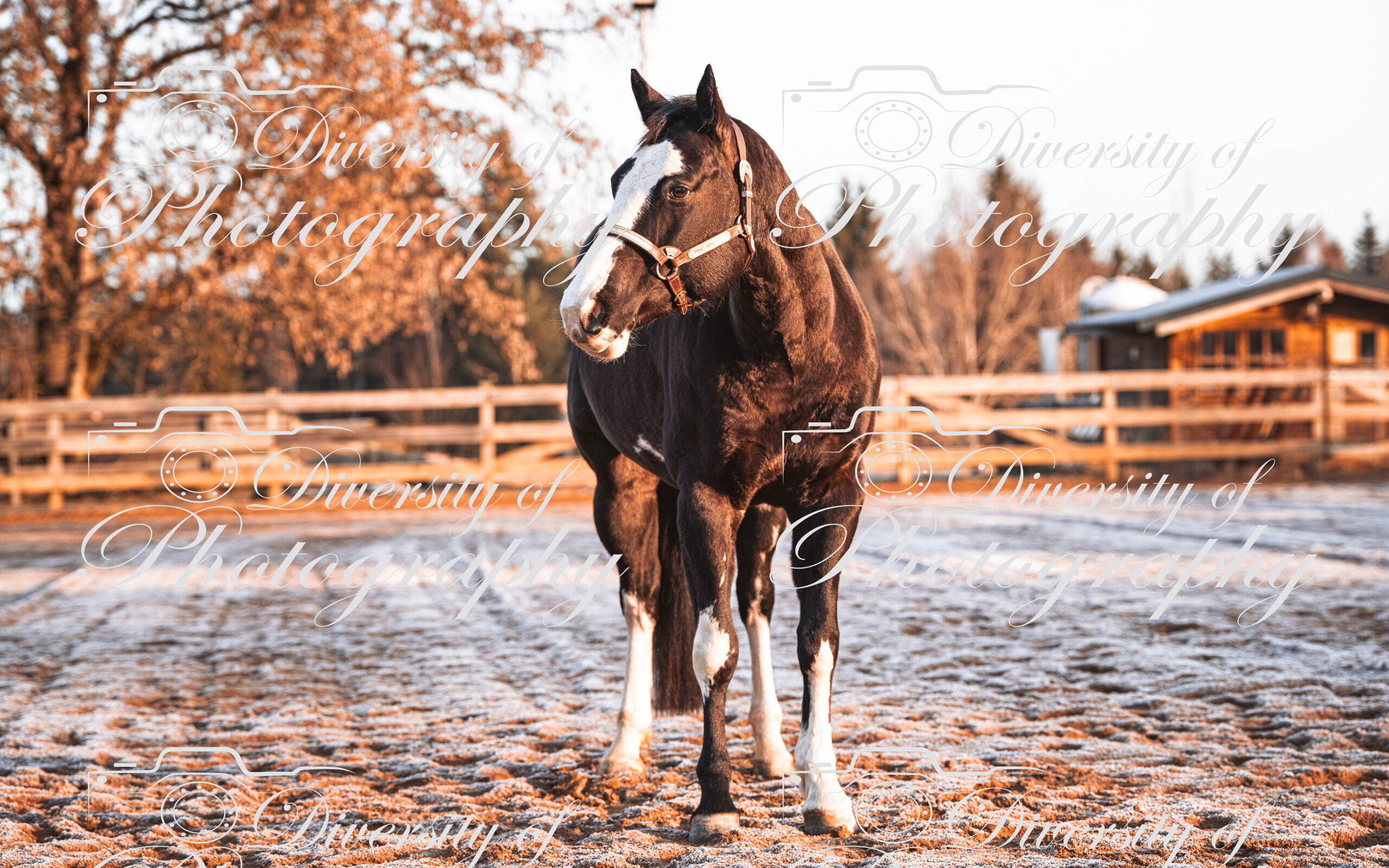 20260322_Silver_Rock_Ranch_Kurs_Tom_Christ_010