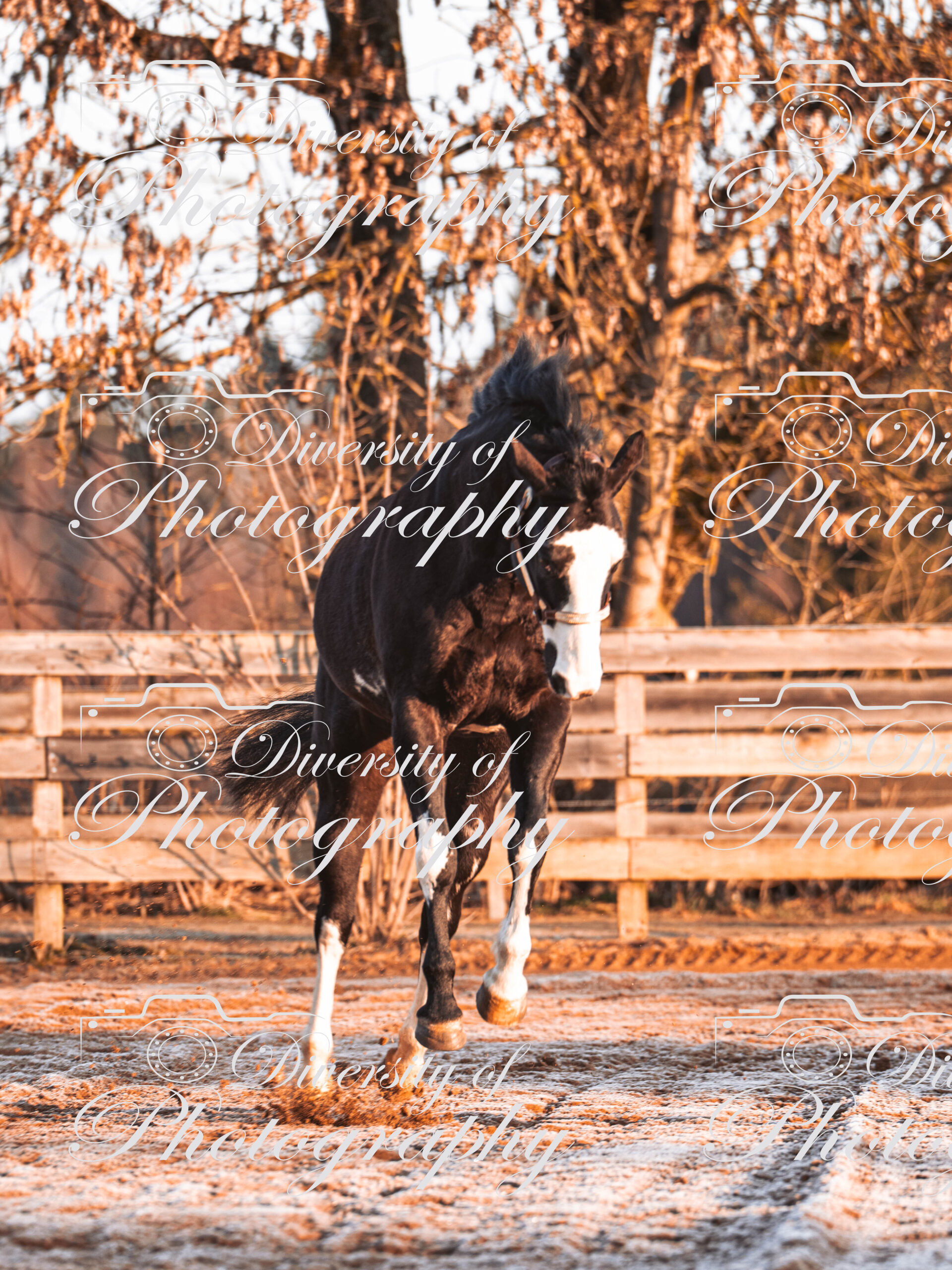 20260322_Silver_Rock_Ranch_Kurs_Tom_Christ_012