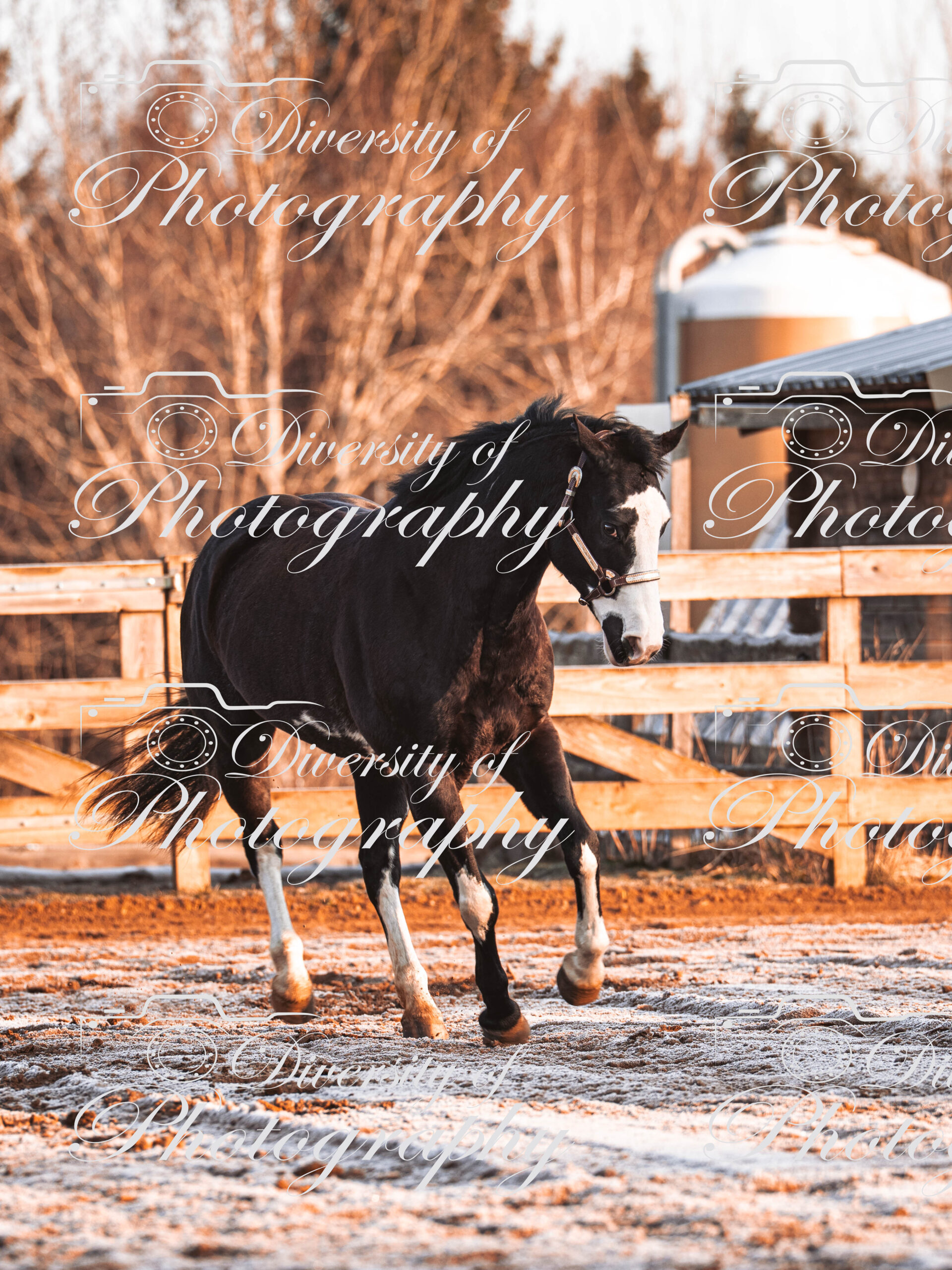 20260322_Silver_Rock_Ranch_Kurs_Tom_Christ_020