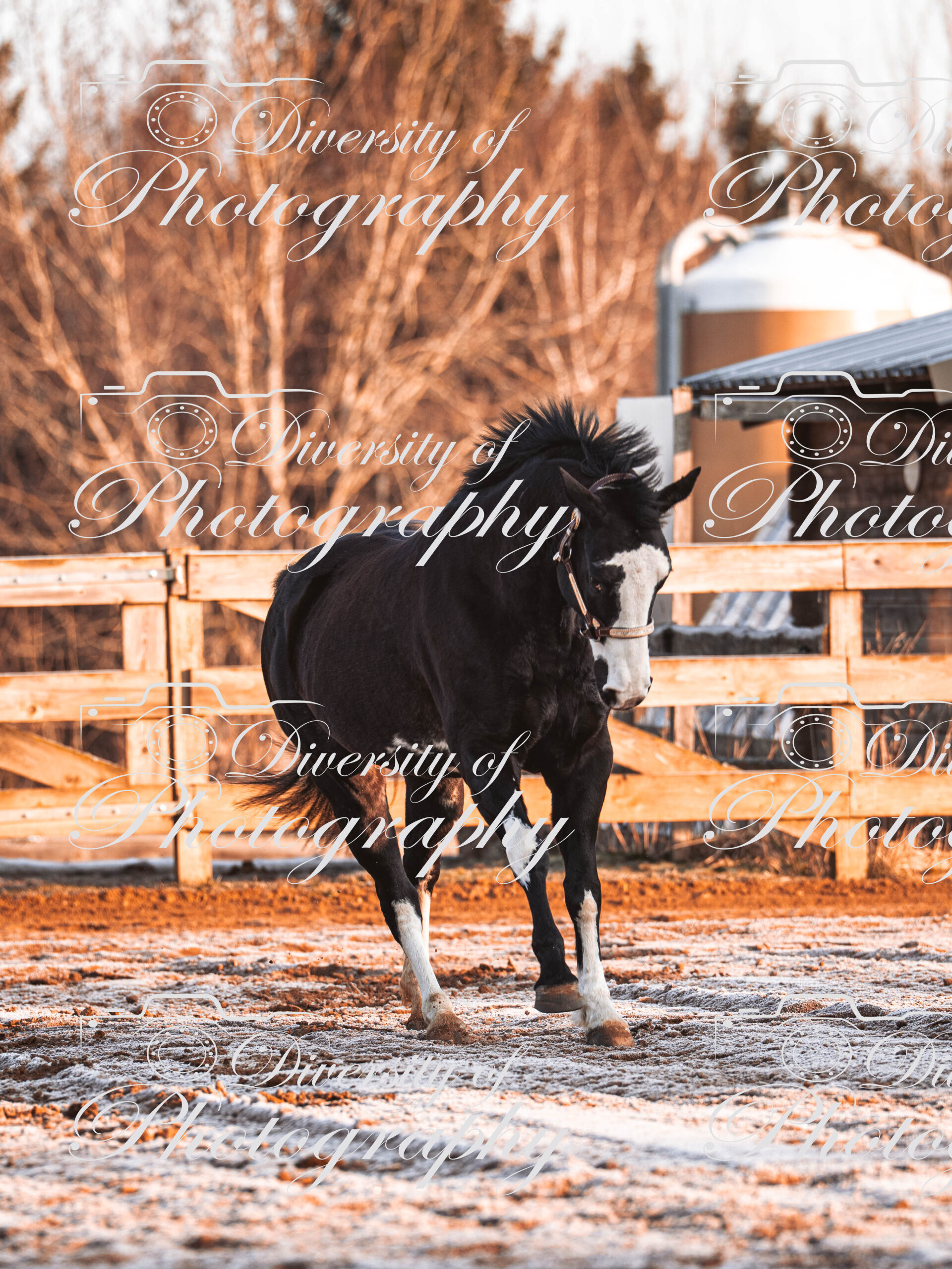 20260322_Silver_Rock_Ranch_Kurs_Tom_Christ_021