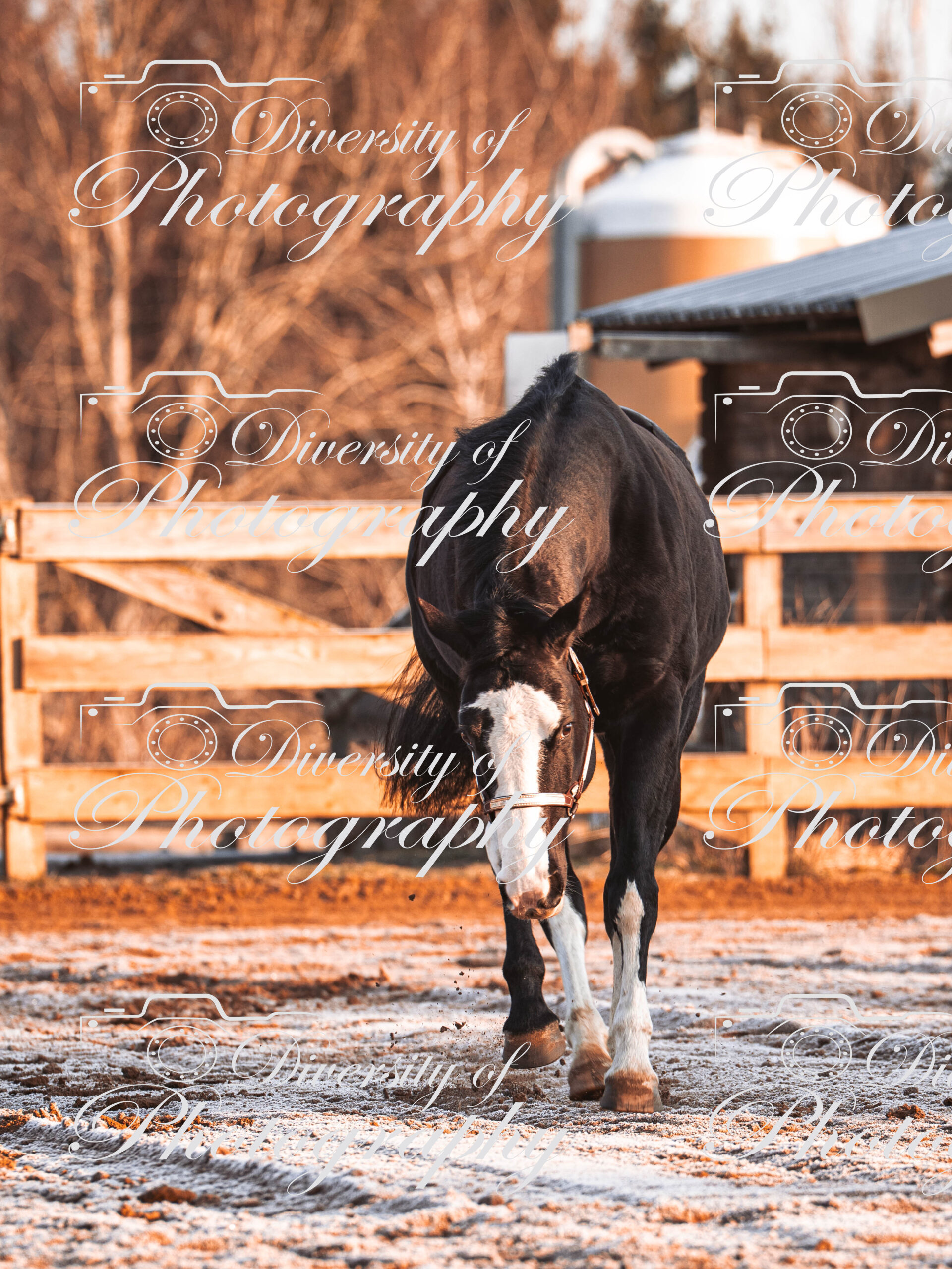 20260322_Silver_Rock_Ranch_Kurs_Tom_Christ_022