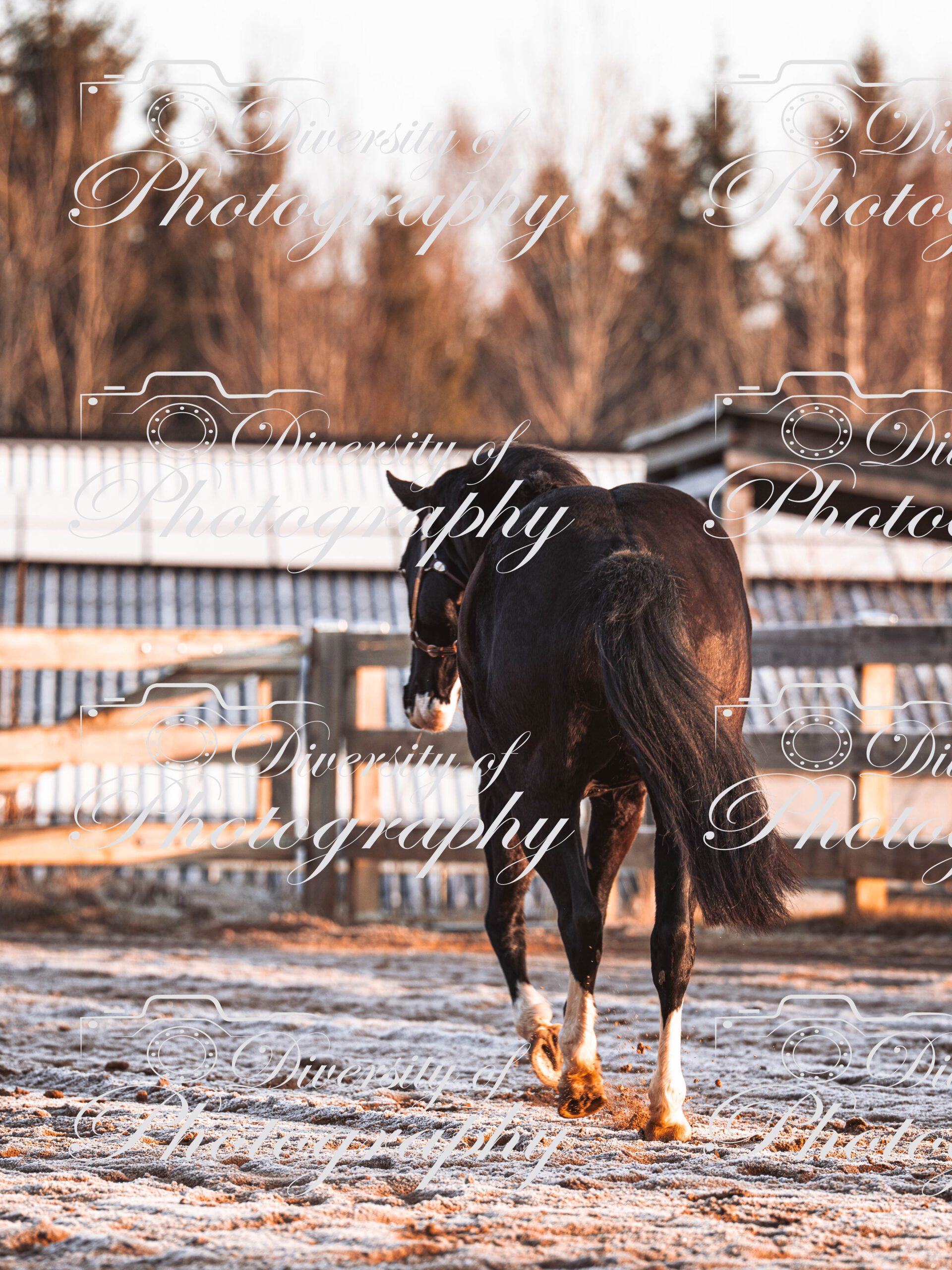 20260322_Silver_Rock_Ranch_Kurs_Tom_Christ_025