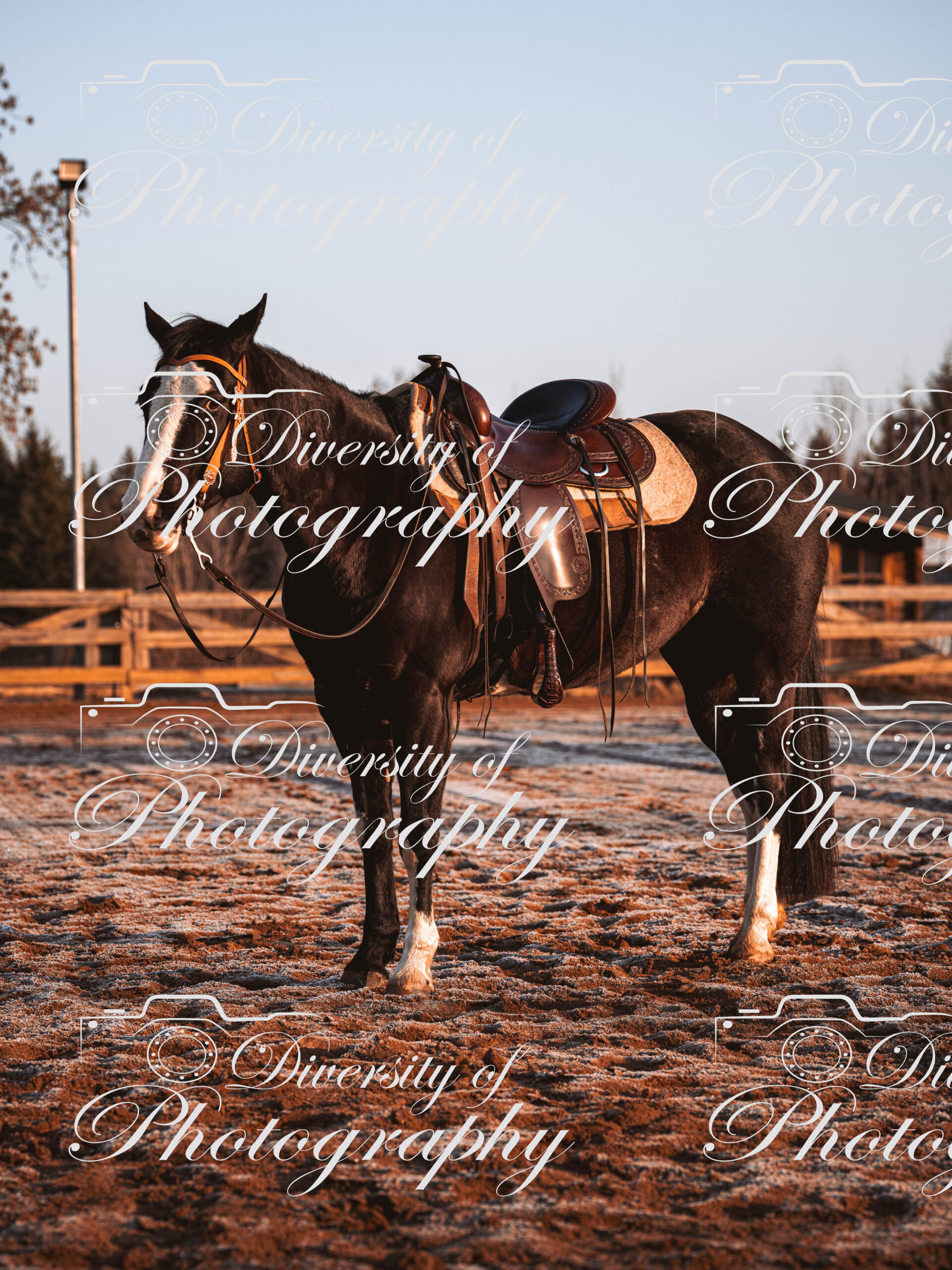 20260322_Silver_Rock_Ranch_Kurs_Tom_Christ_027