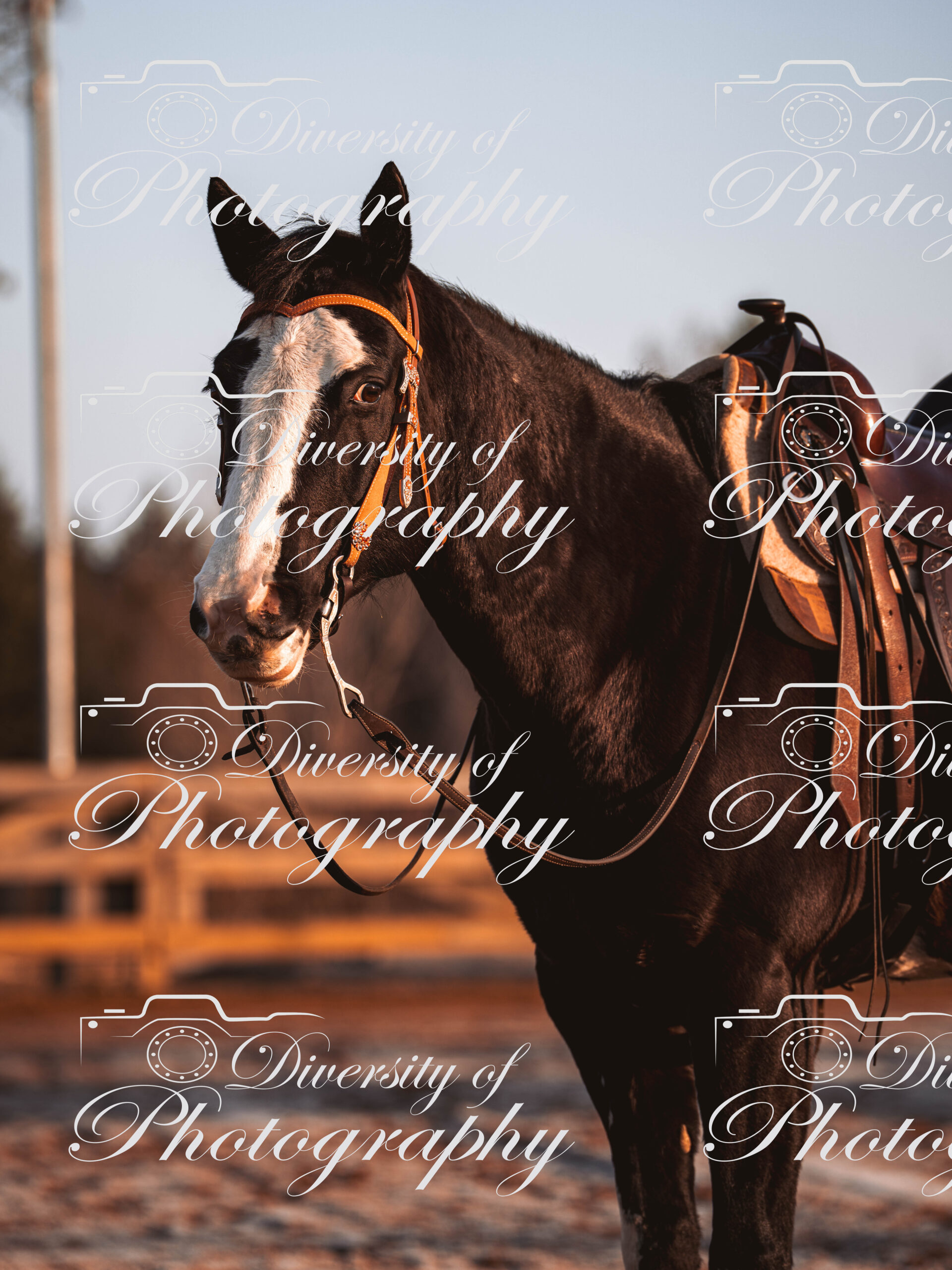 20260322_Silver_Rock_Ranch_Kurs_Tom_Christ_028