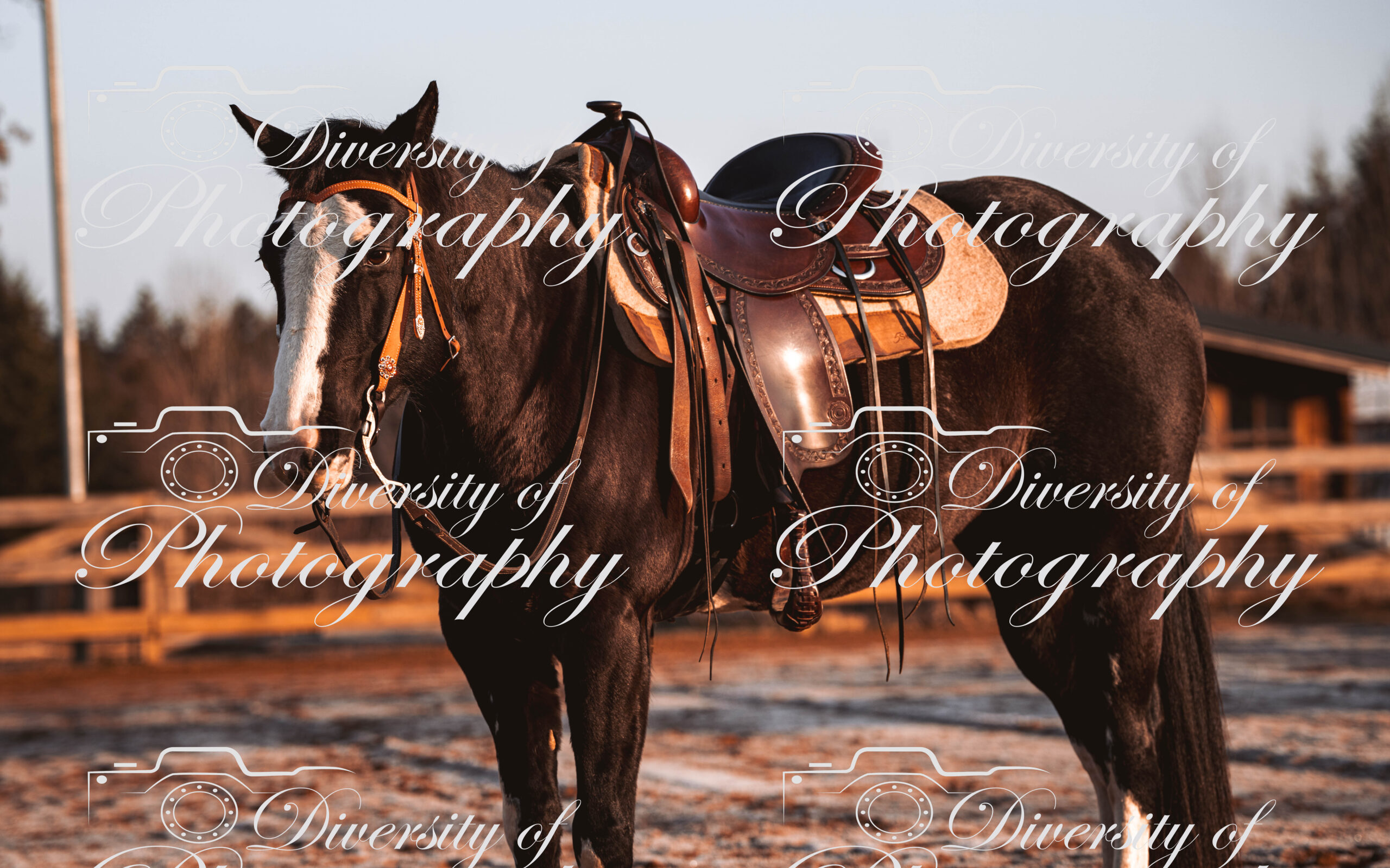 20260322_Silver_Rock_Ranch_Kurs_Tom_Christ_029