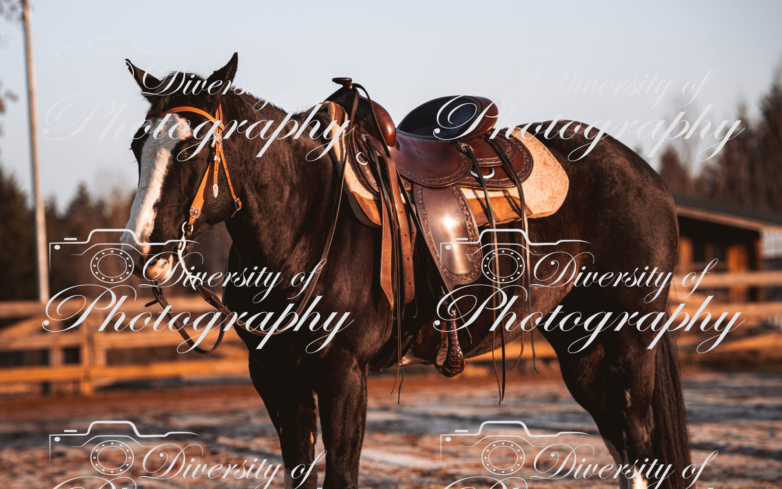 20260322_Silver_Rock_Ranch_Kurs_Tom_Christ_030