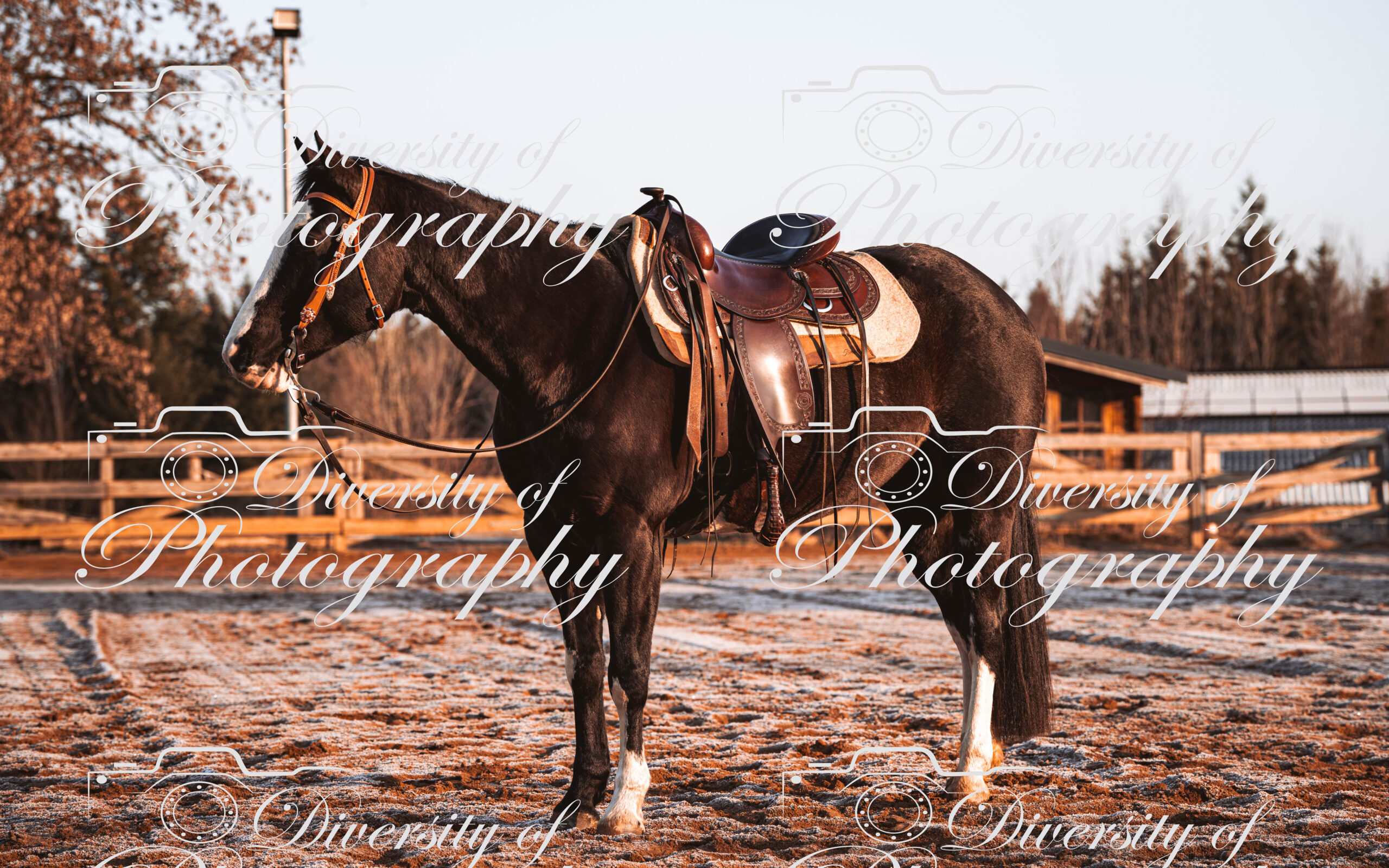 20260322_Silver_Rock_Ranch_Kurs_Tom_Christ_031