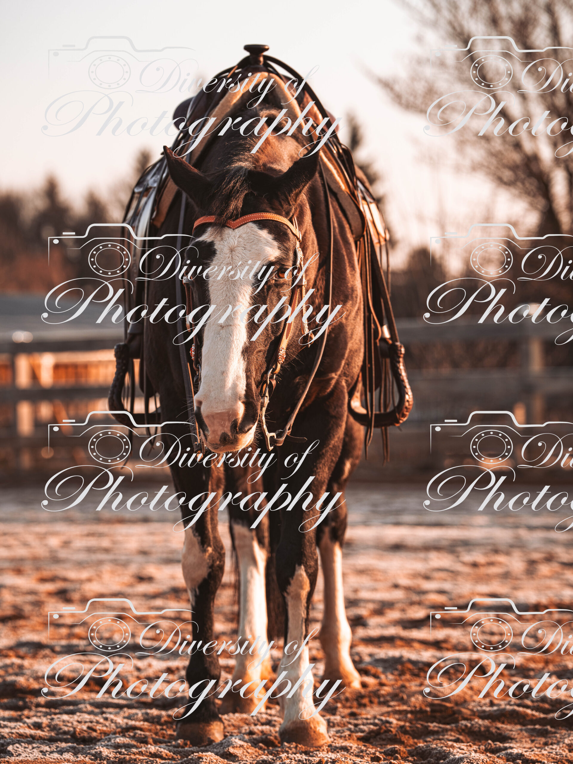 20260322_Silver_Rock_Ranch_Kurs_Tom_Christ_036