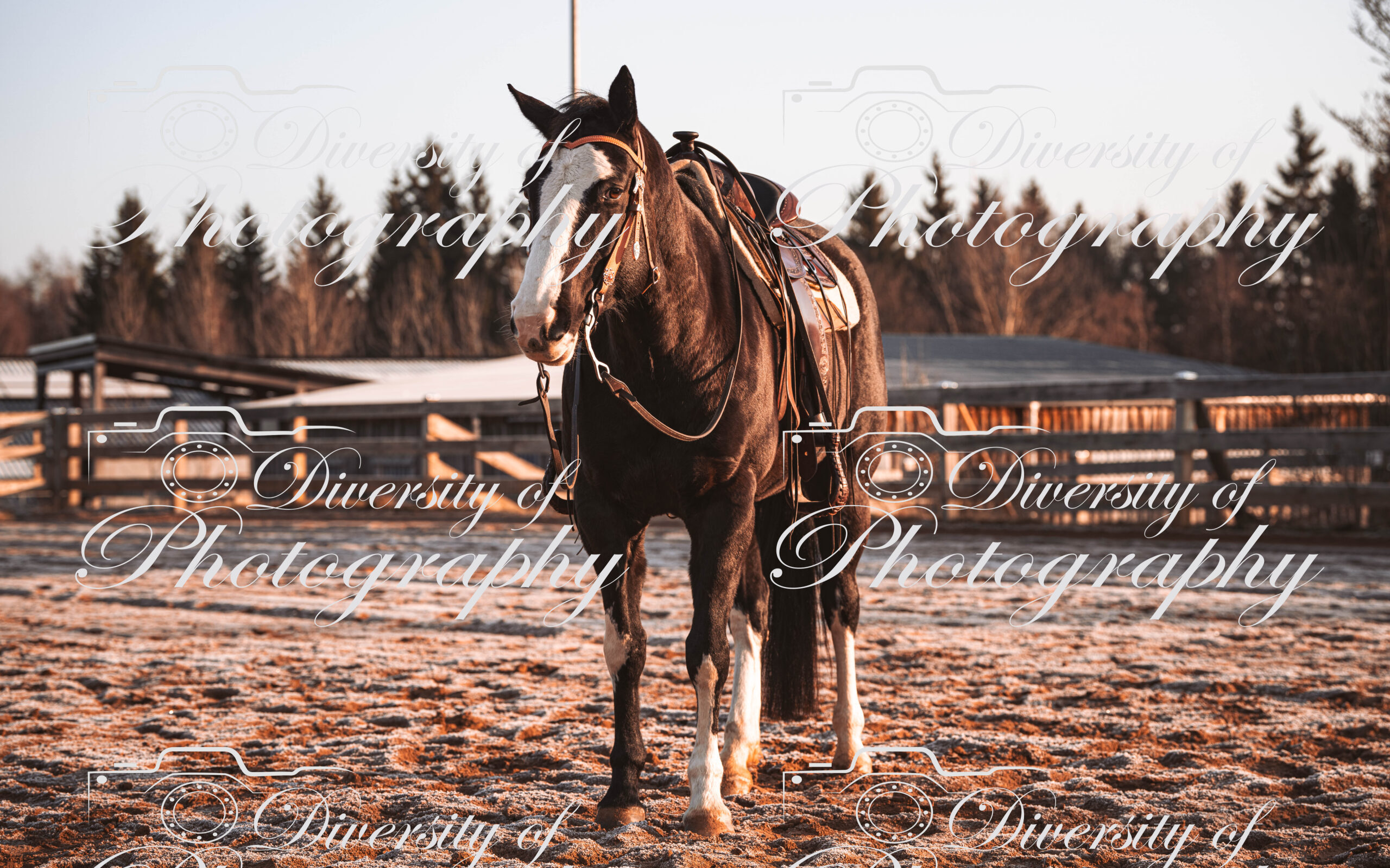 20260322_Silver_Rock_Ranch_Kurs_Tom_Christ_037