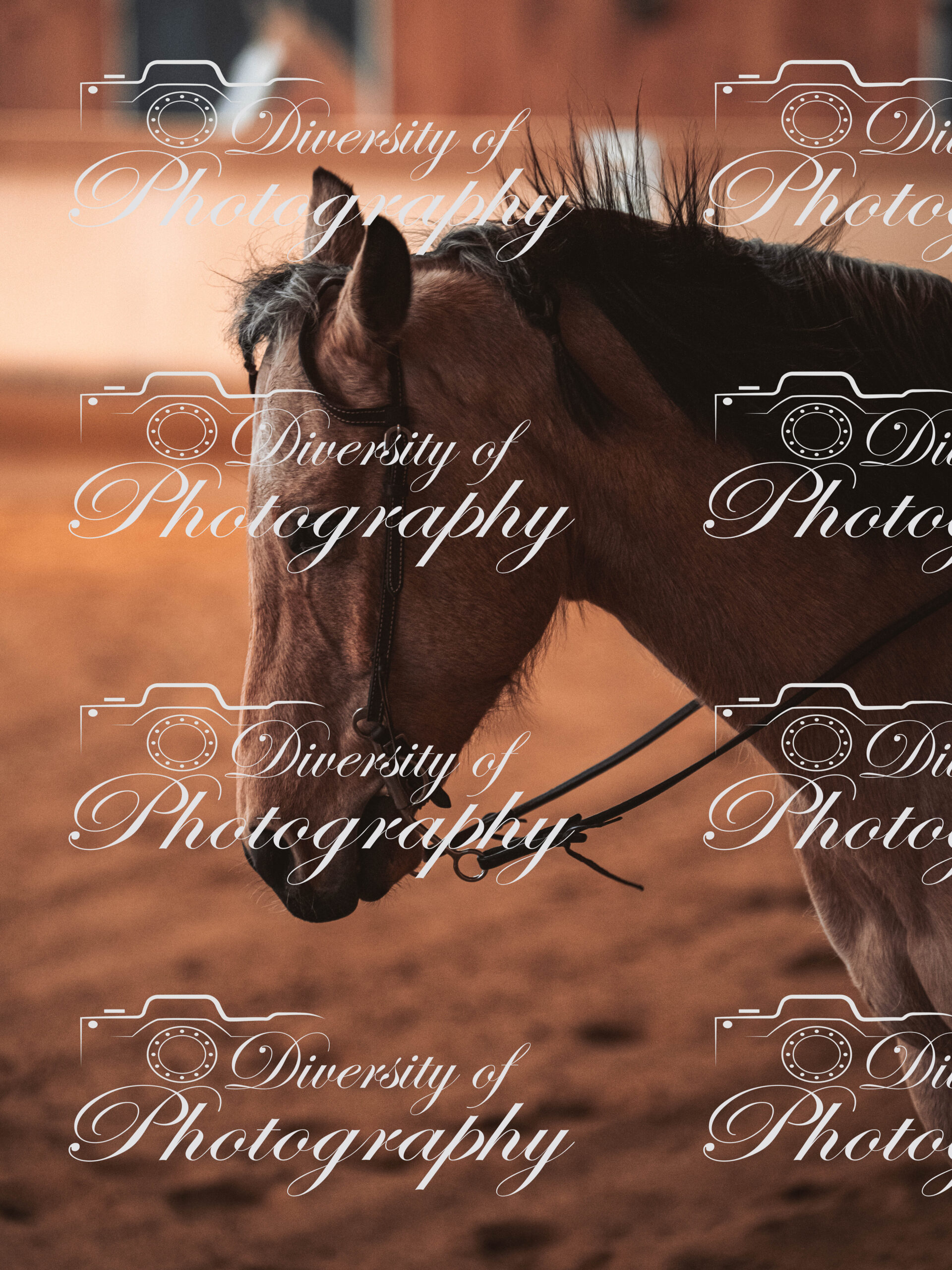 20260322_Silver_Rock_Ranch_Kurs_Tom_Christ_052