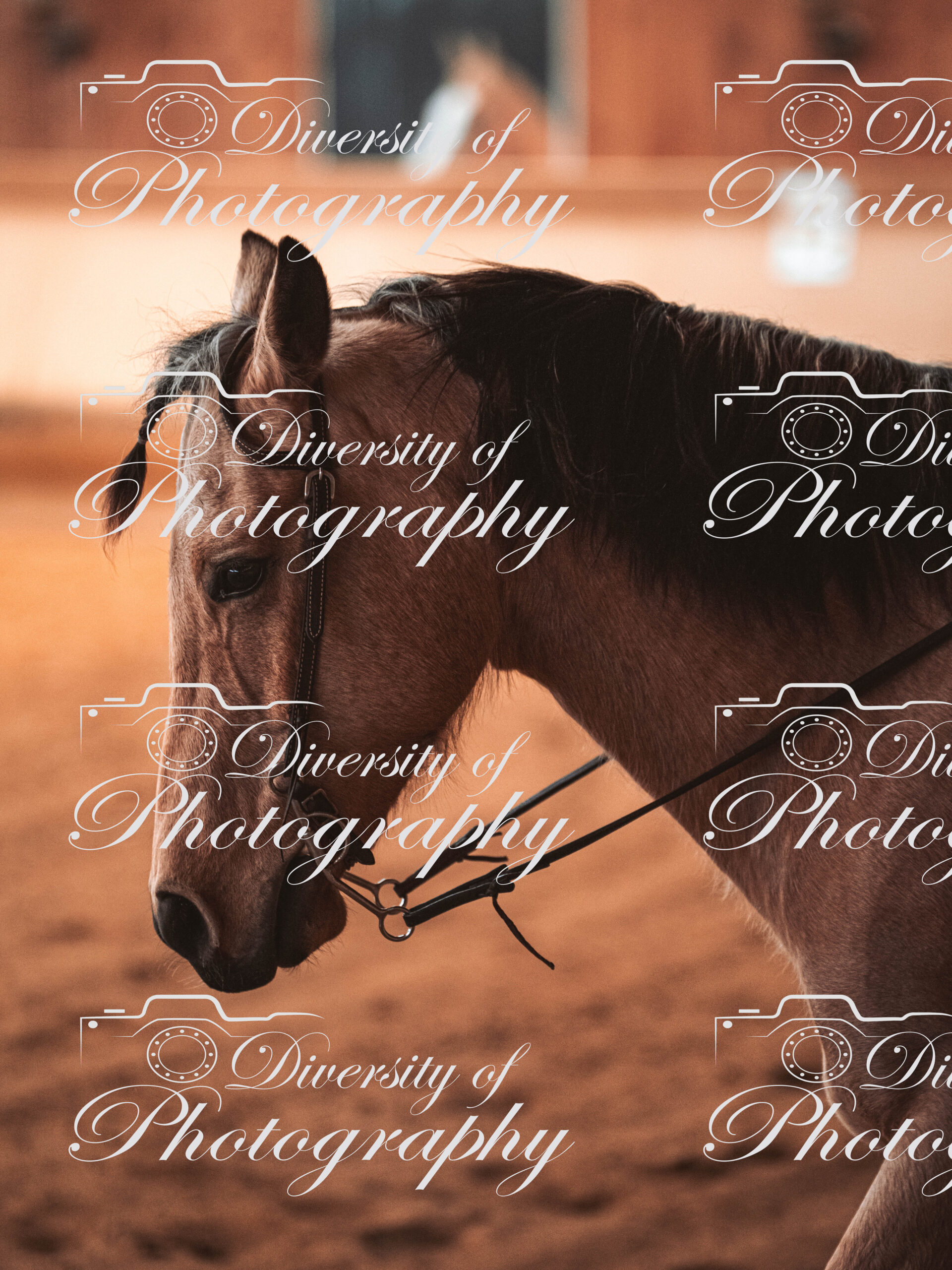 20260322_Silver_Rock_Ranch_Kurs_Tom_Christ_053