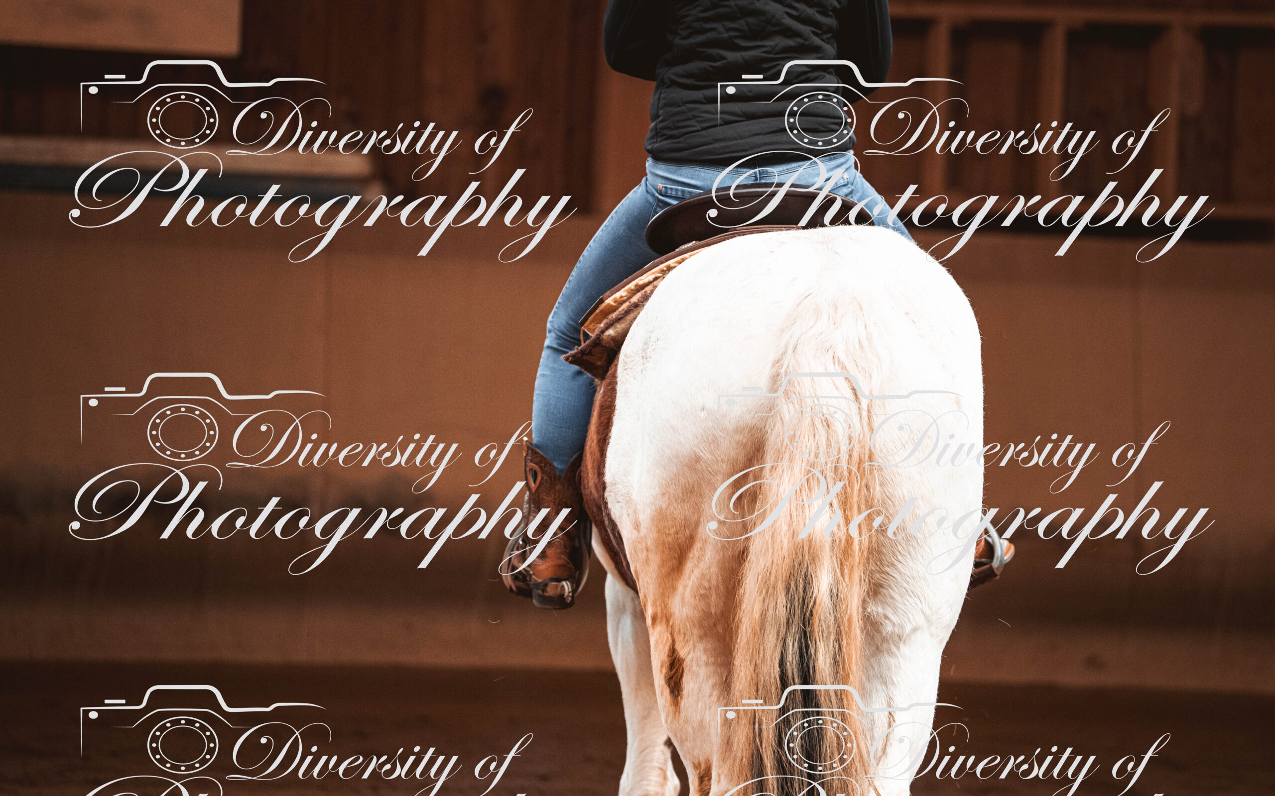 20260322_Silver_Rock_Ranch_Kurs_Tom_Christ_060