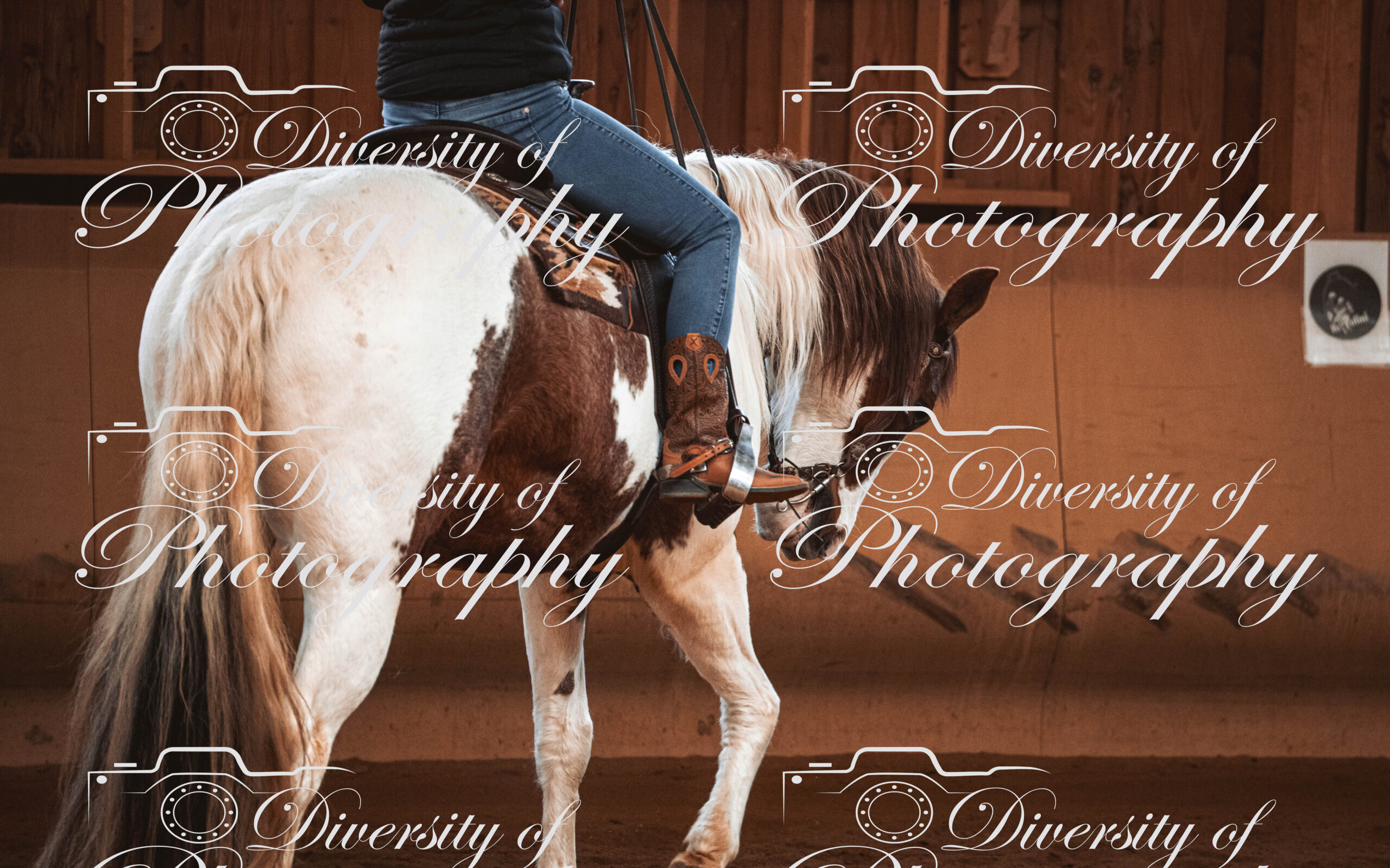 20260322_Silver_Rock_Ranch_Kurs_Tom_Christ_061