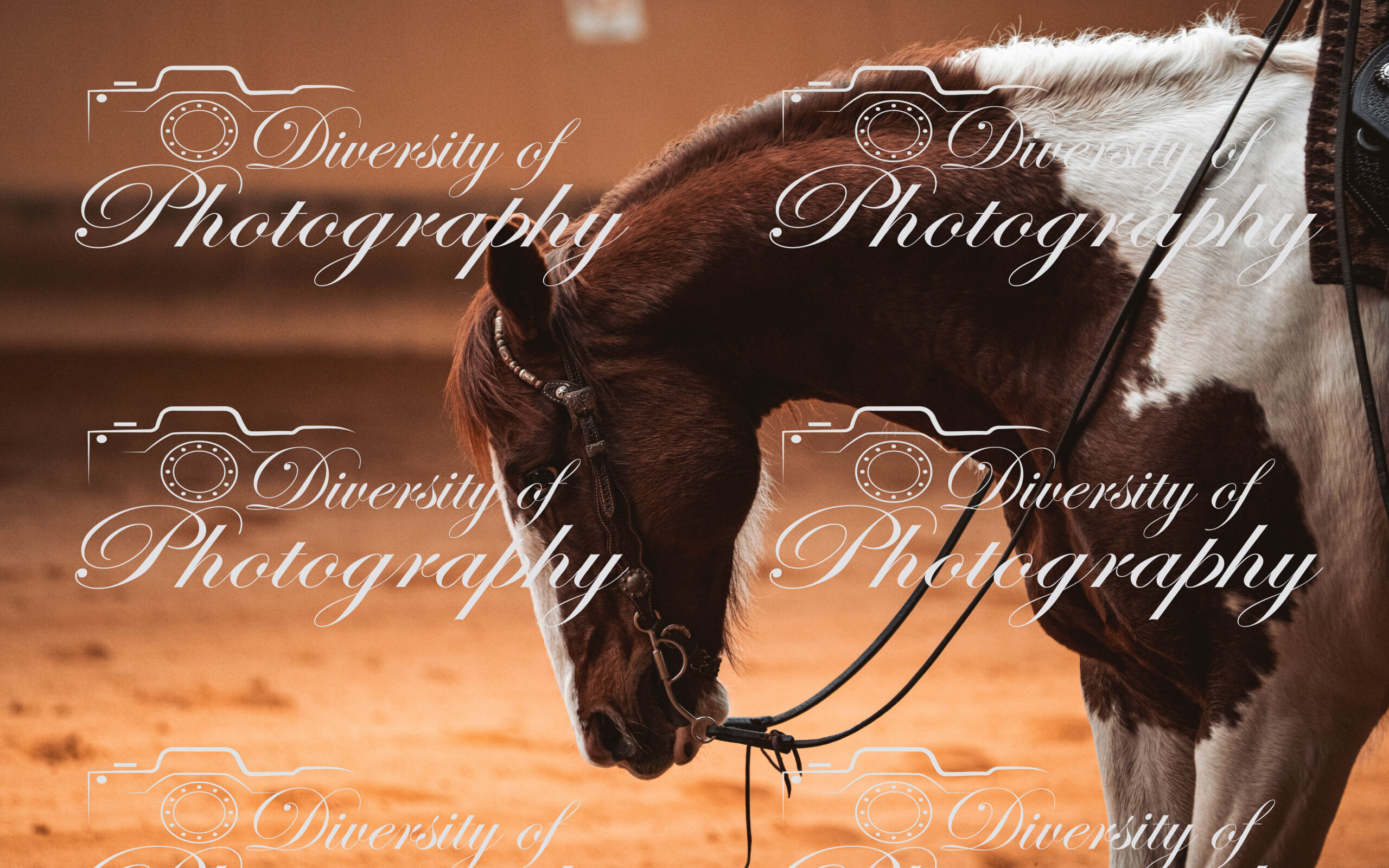 20260322_Silver_Rock_Ranch_Kurs_Tom_Christ_066