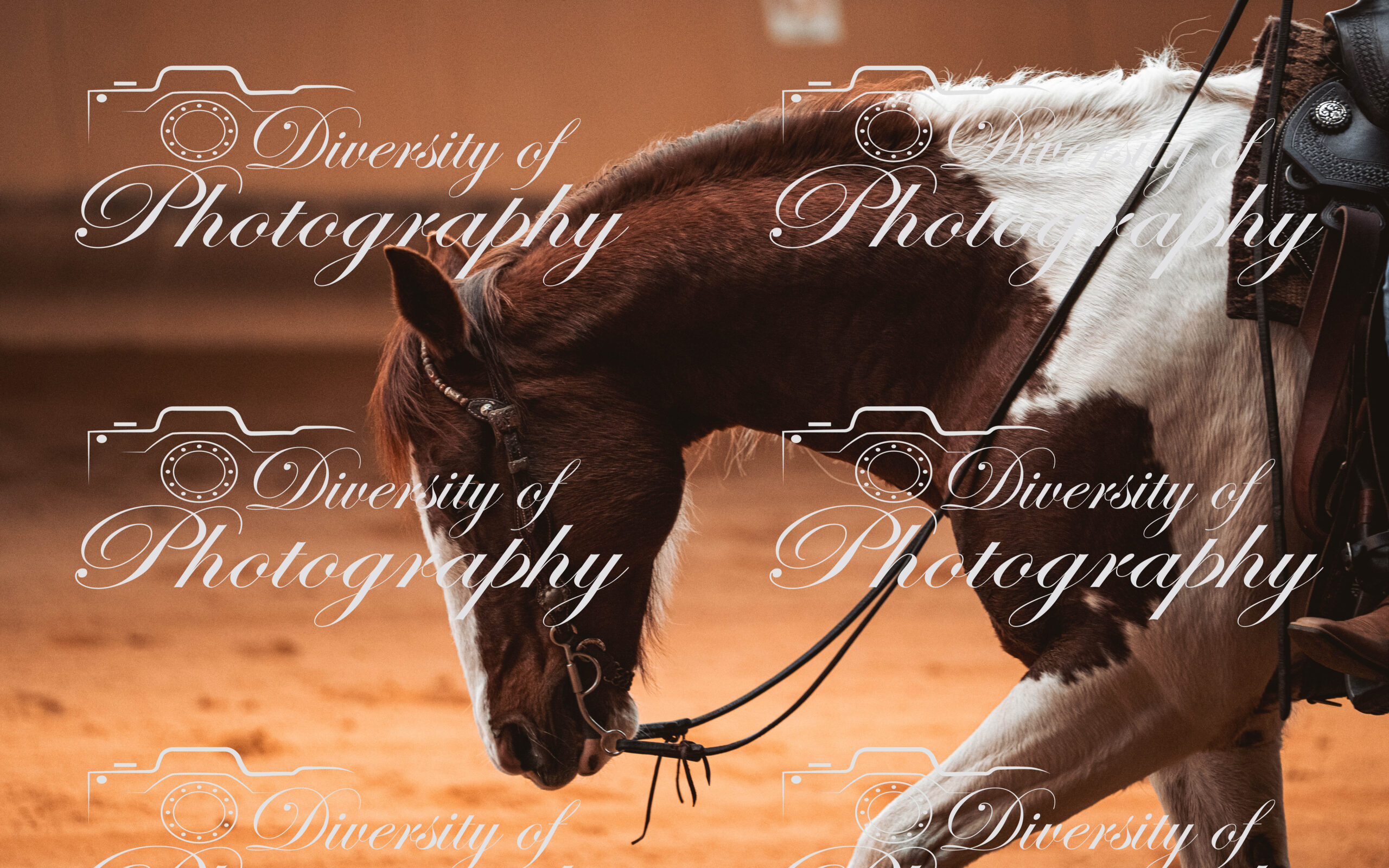 20260322_Silver_Rock_Ranch_Kurs_Tom_Christ_067